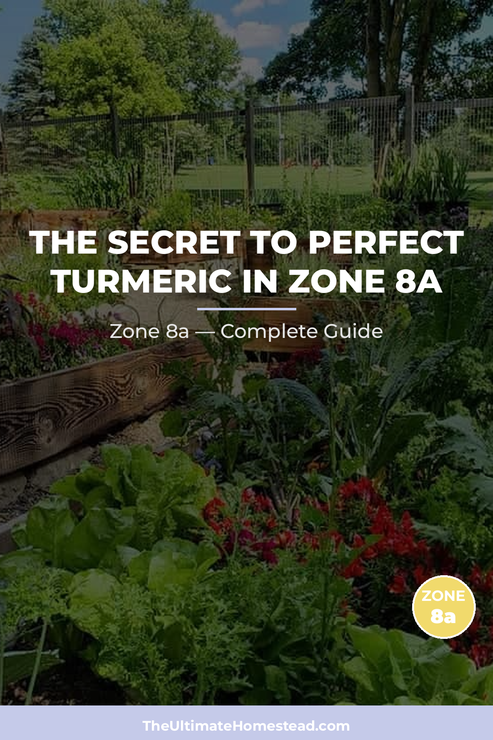 When to Plant Turmeric in Zone 8a