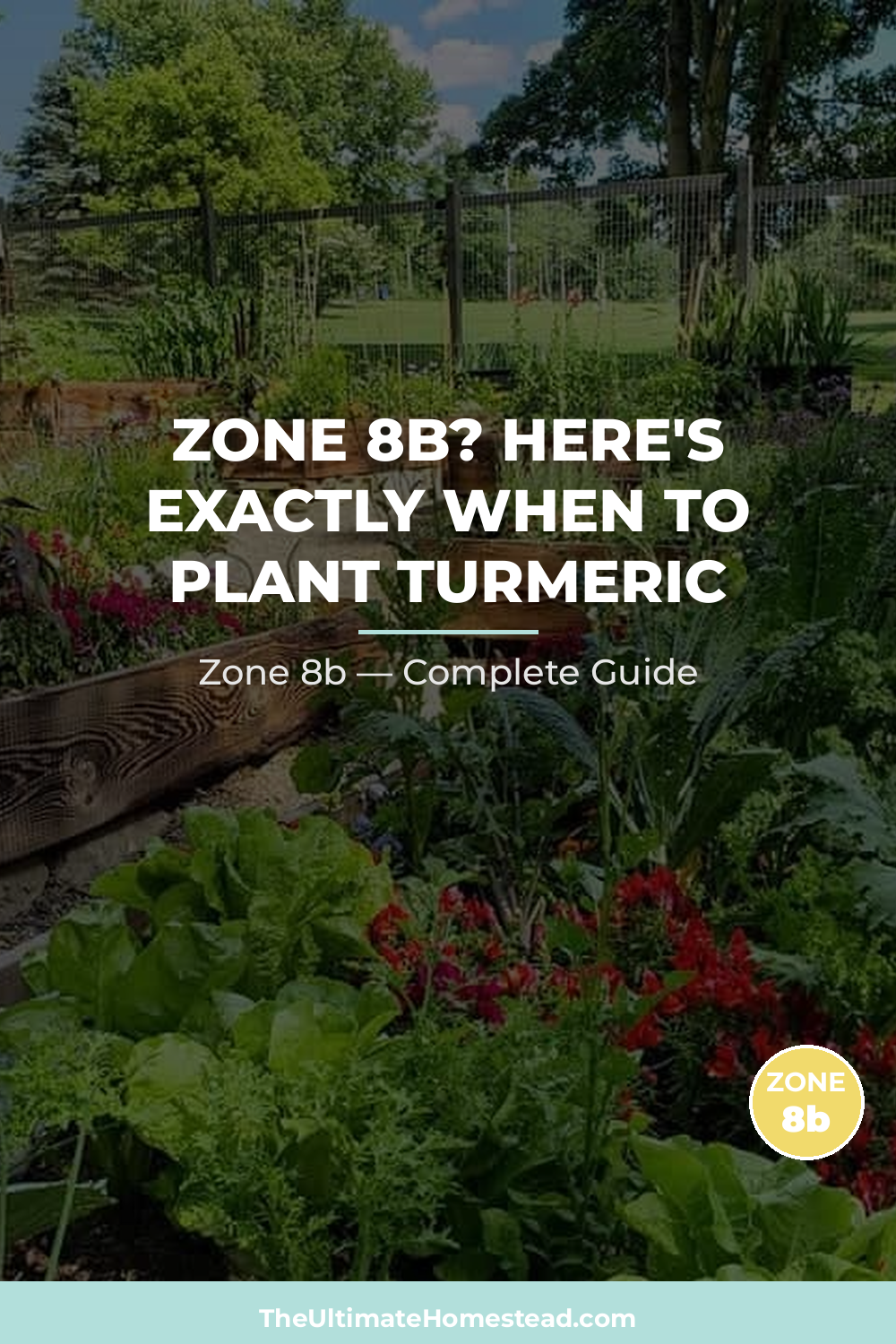 When to Plant Turmeric in Zone 8b