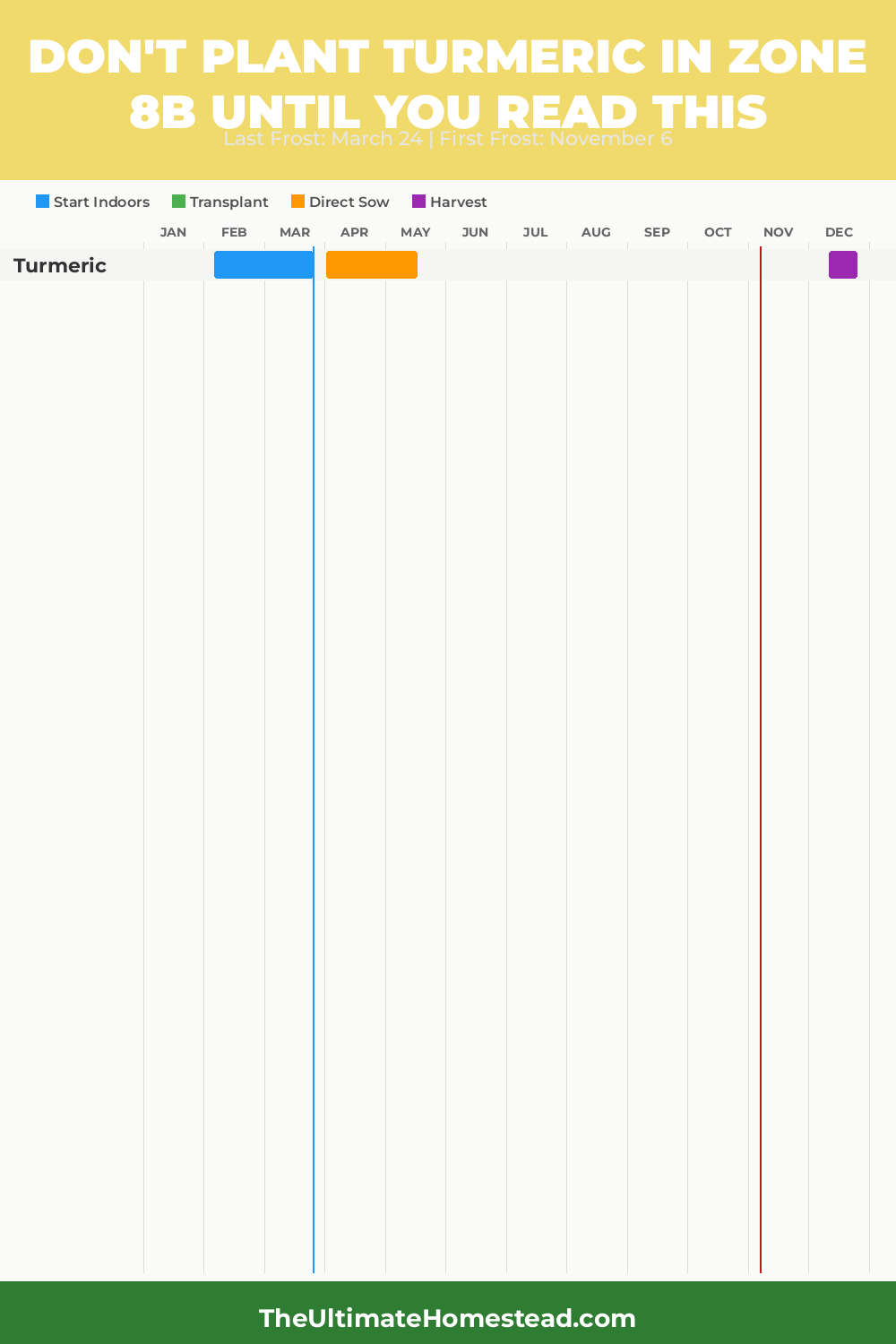 When to Plant Turmeric in Zone 8b