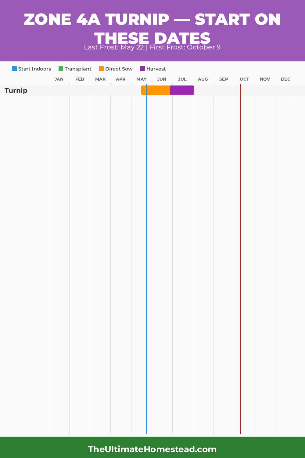 When to Plant Turnip in Zone 4a