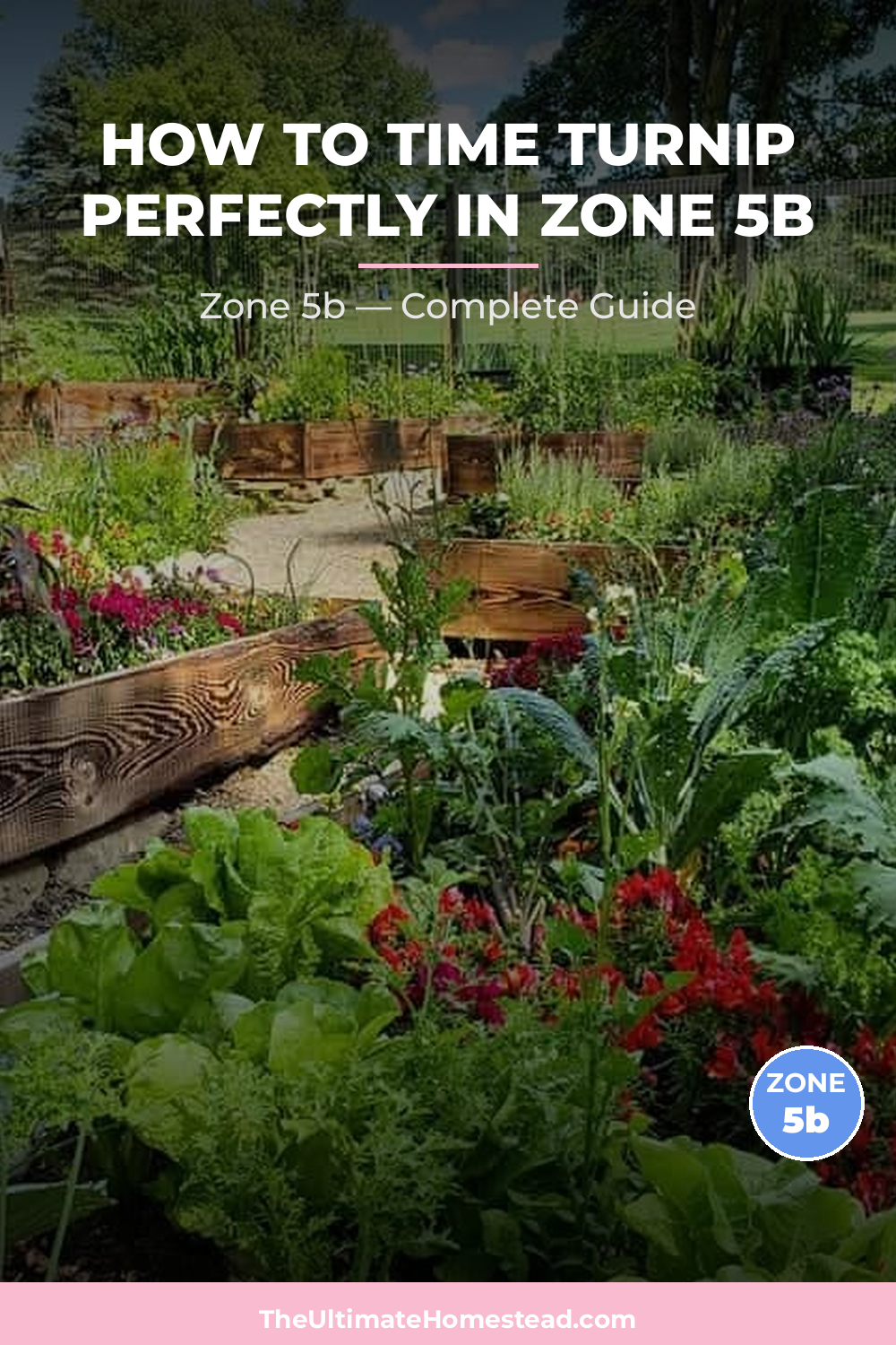 When to Plant Turnip in Zone 5b