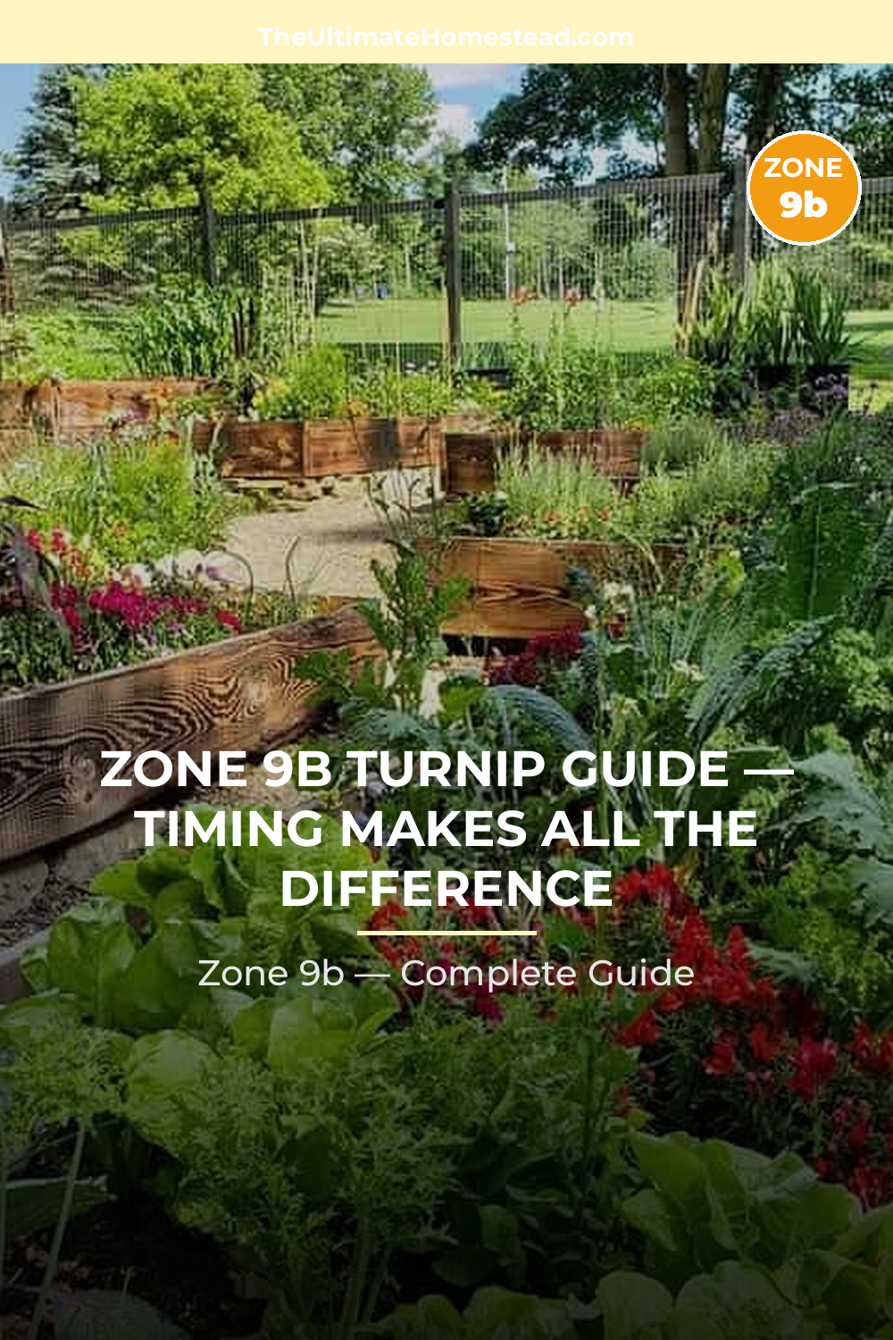 When to Plant Turnip in Zone 9b