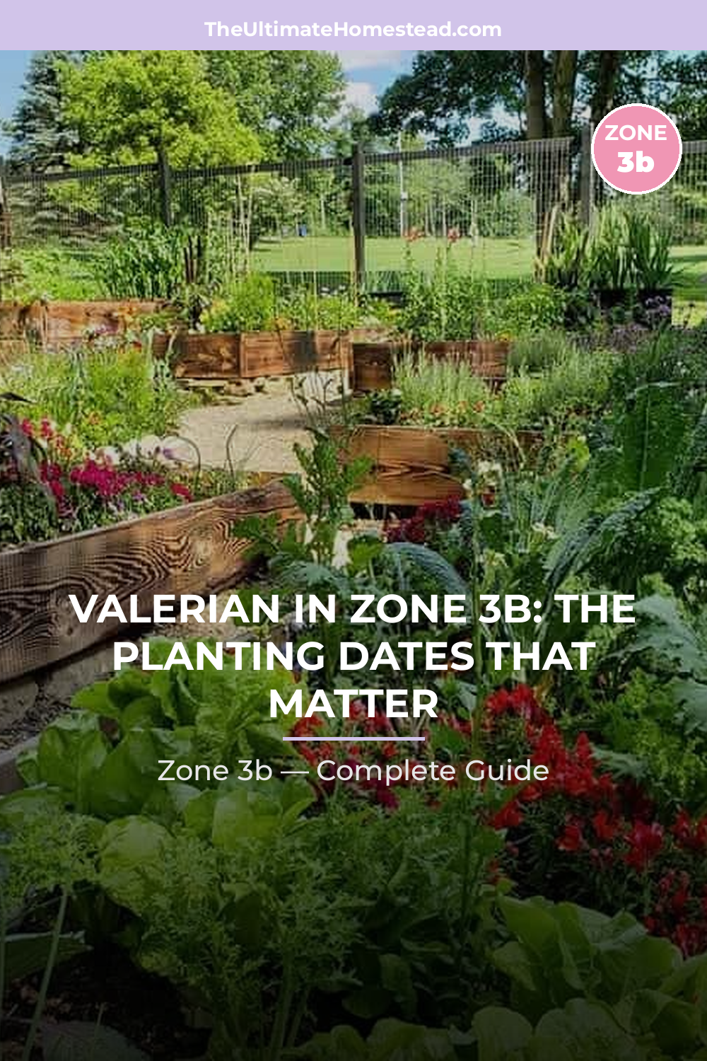 When to Plant Valerian in Zone 3b