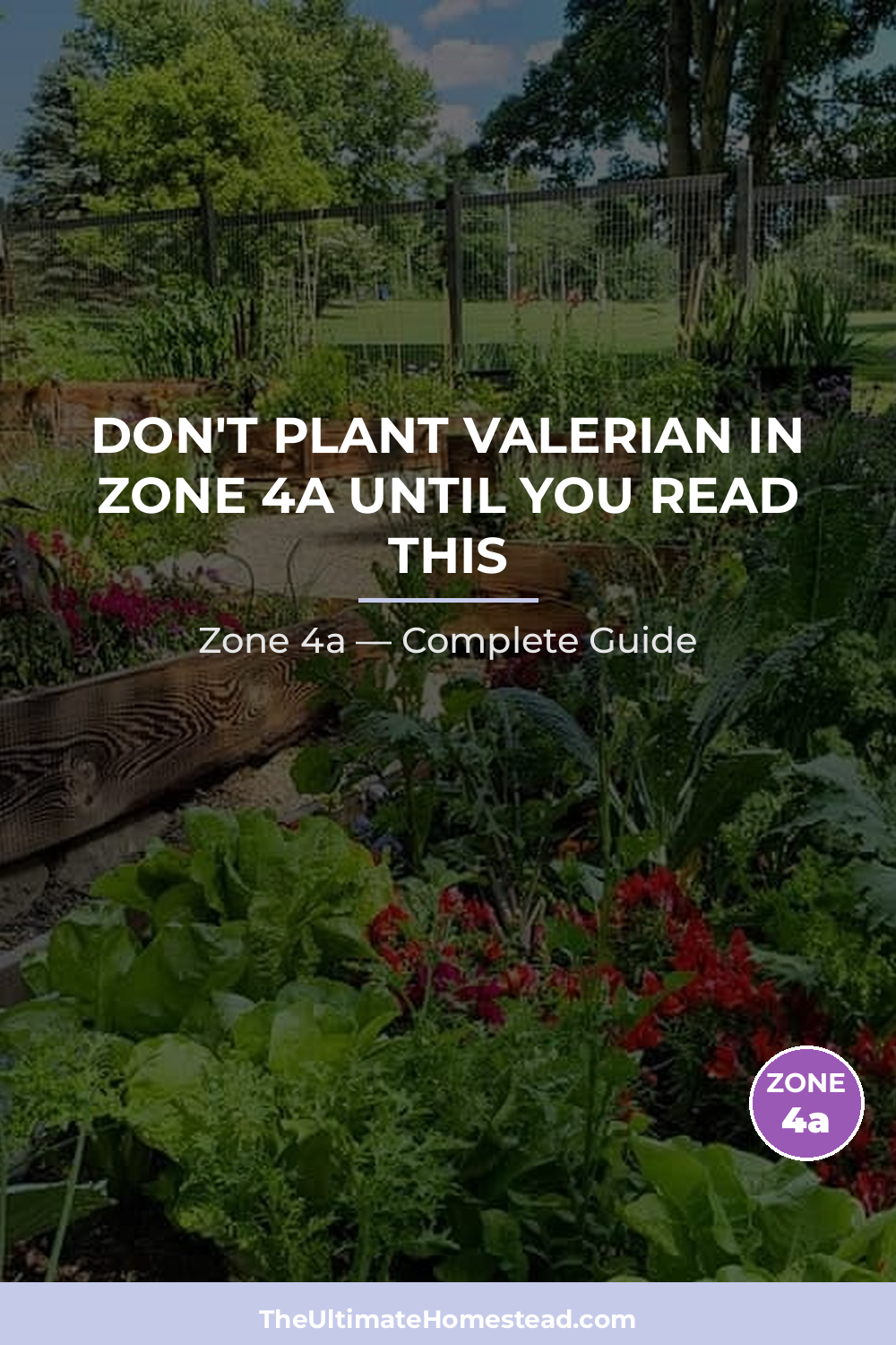 When to Plant Valerian in Zone 4a