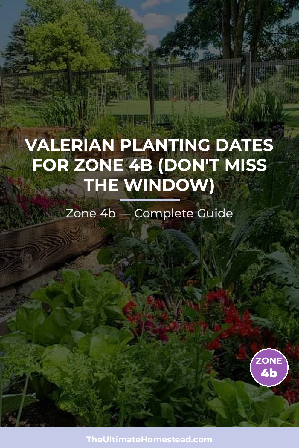 When to Plant Valerian in Zone 4b