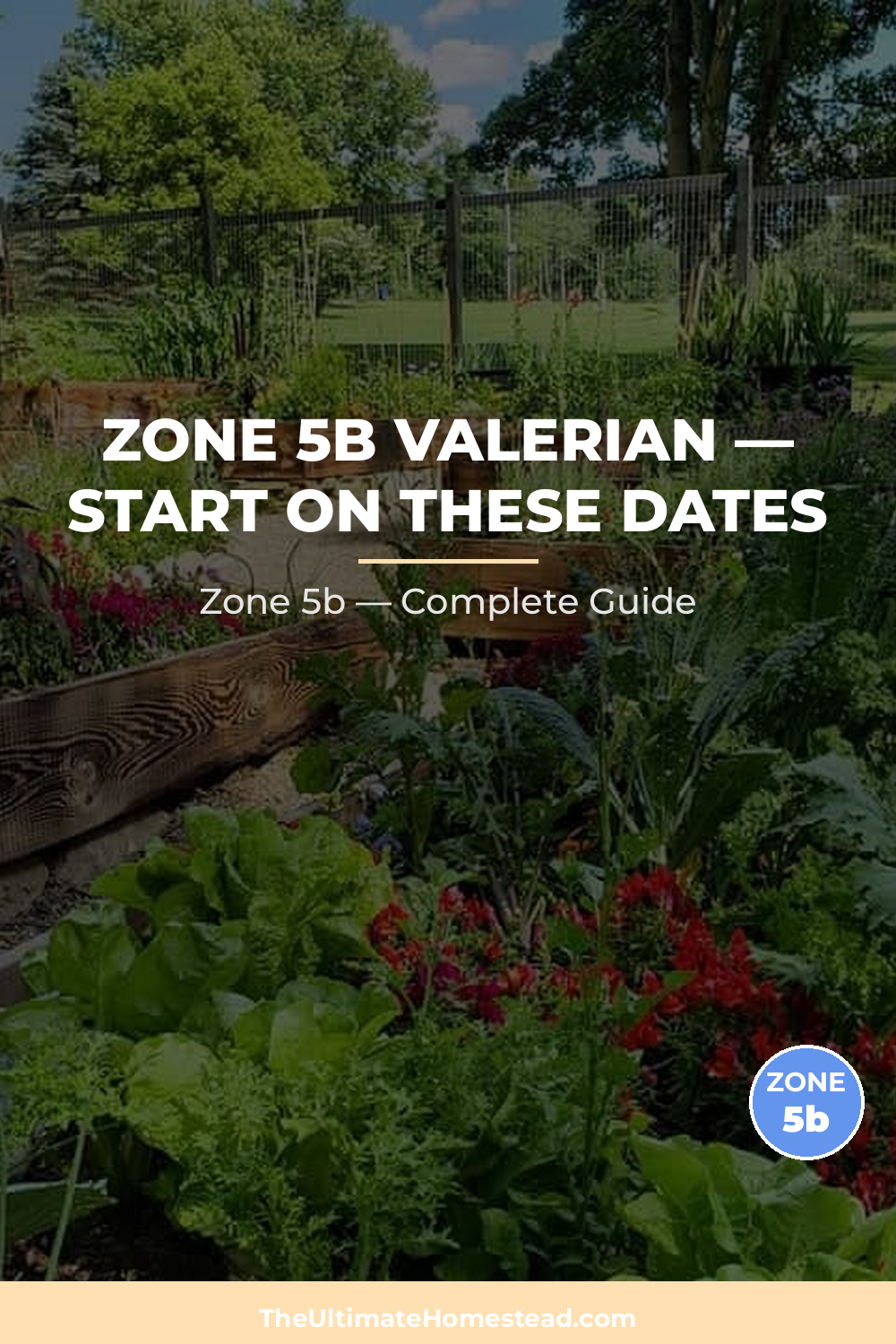 When to Plant Valerian in Zone 5b