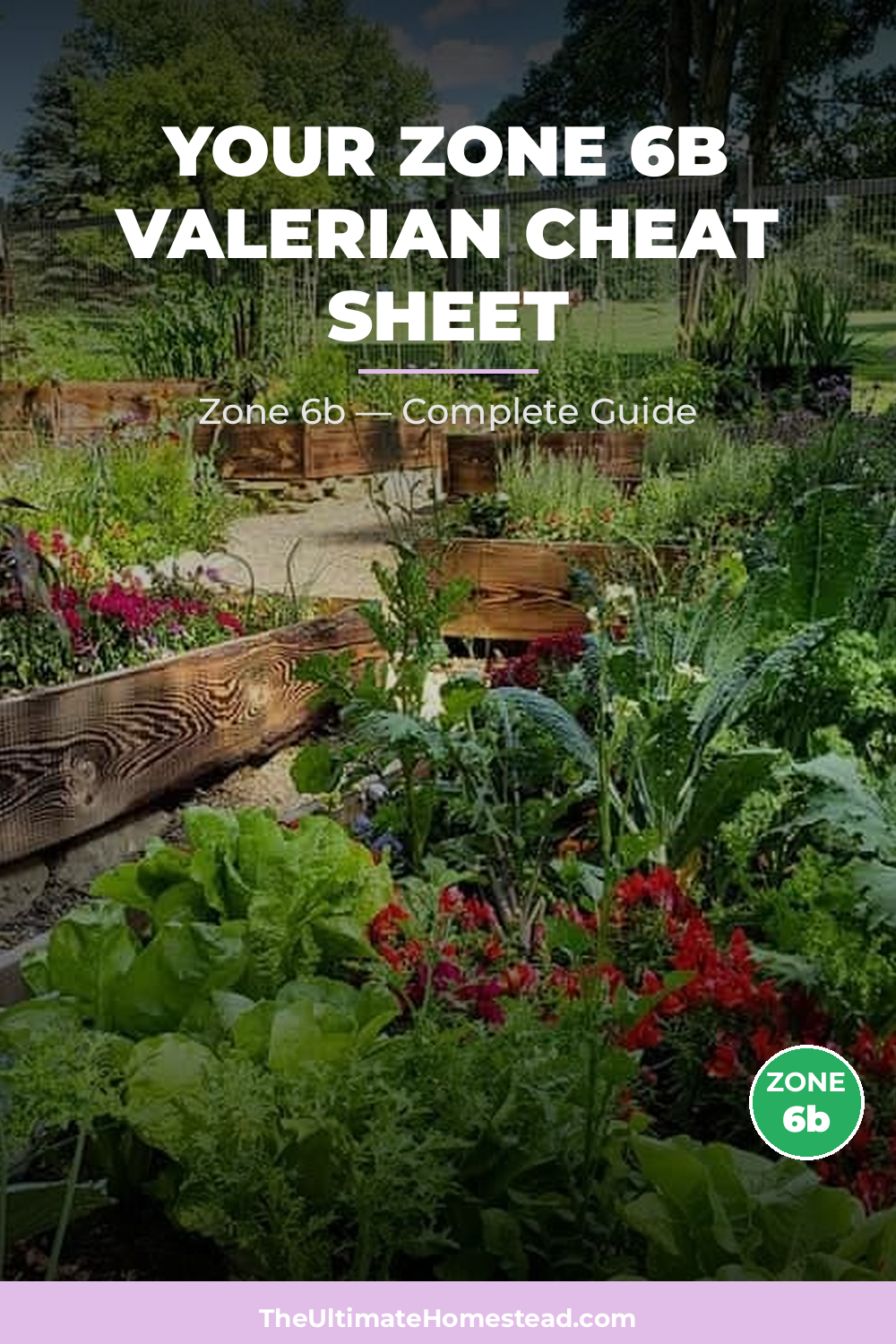 When to Plant Valerian in Zone 6b