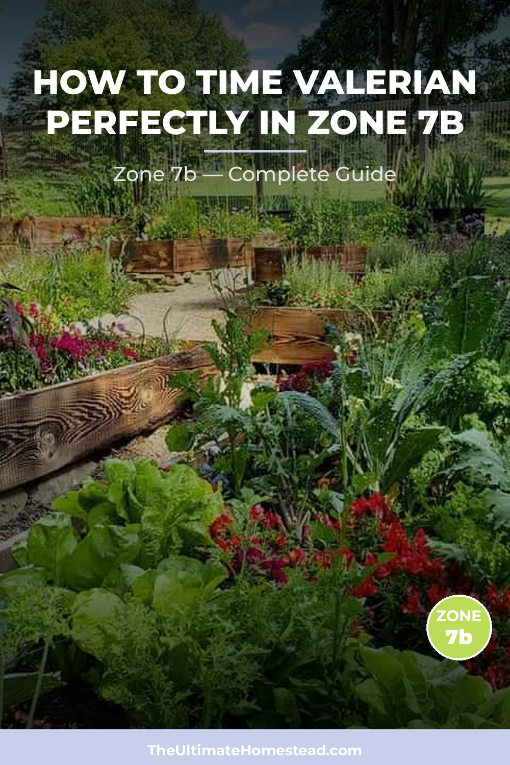 When to Plant Valerian in Zone 7b