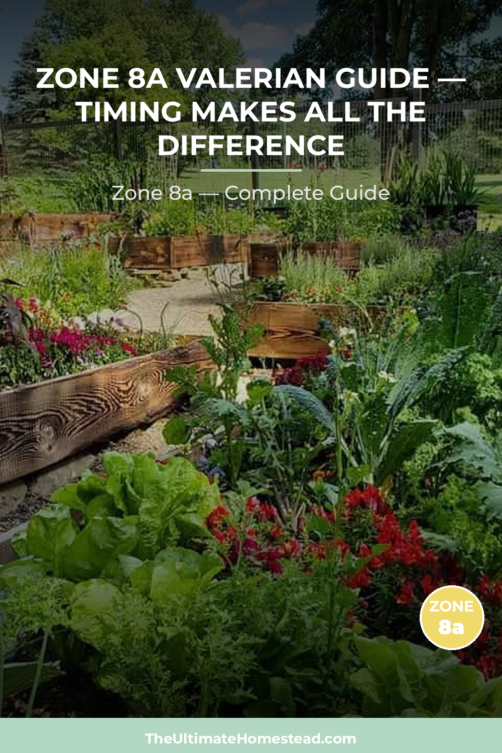 When to Plant Valerian in Zone 8a
