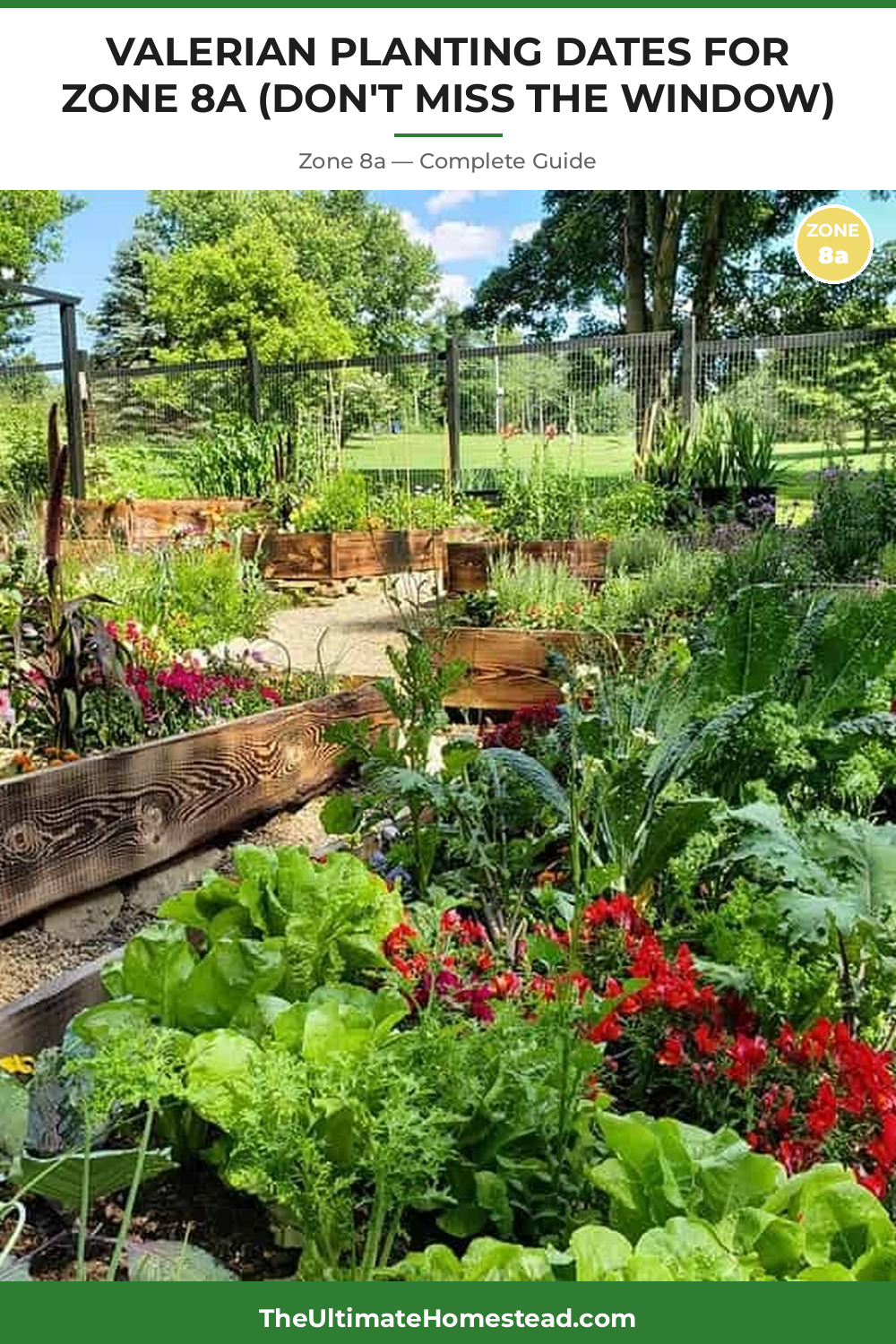 When to Plant Valerian in Zone 8a