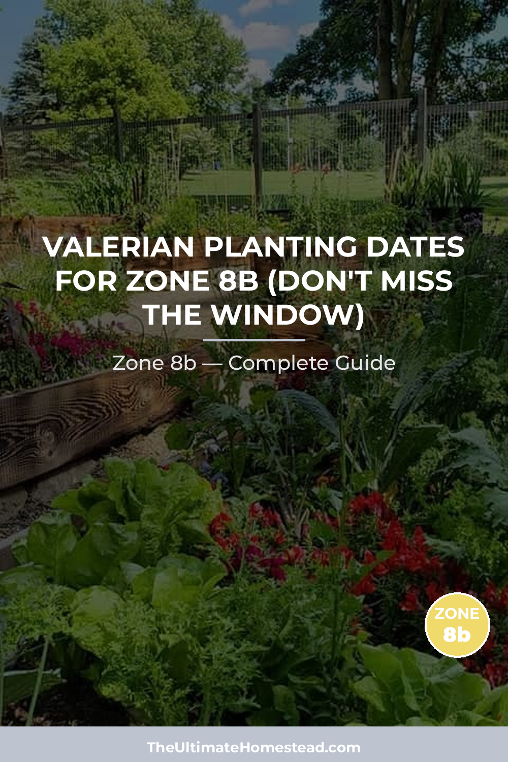 When to Plant Valerian in Zone 8b
