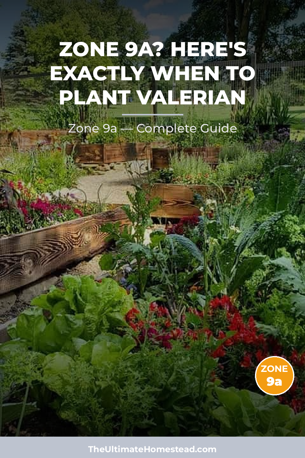 When to Plant Valerian in Zone 9a