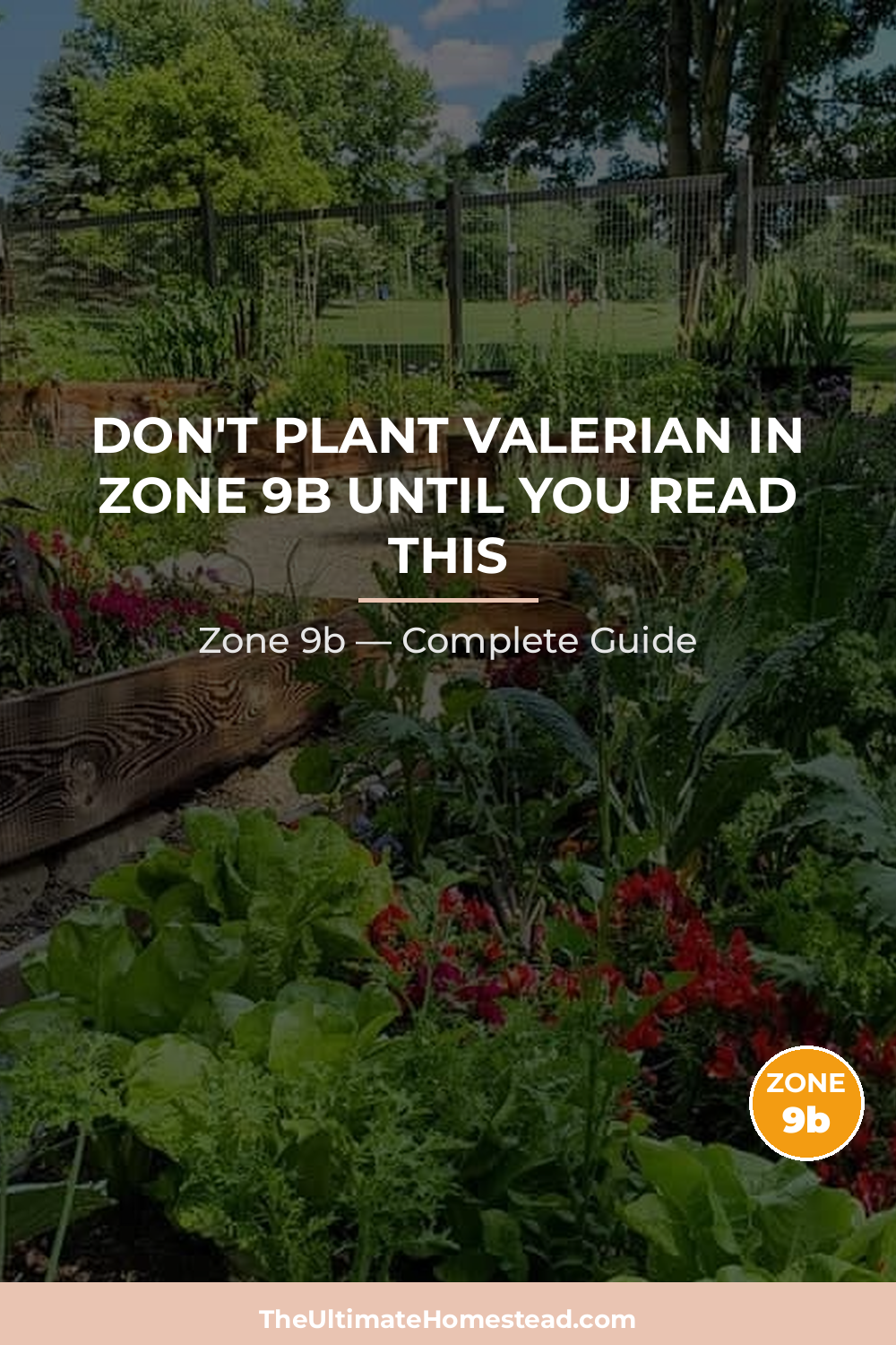 When to Plant Valerian in Zone 9b