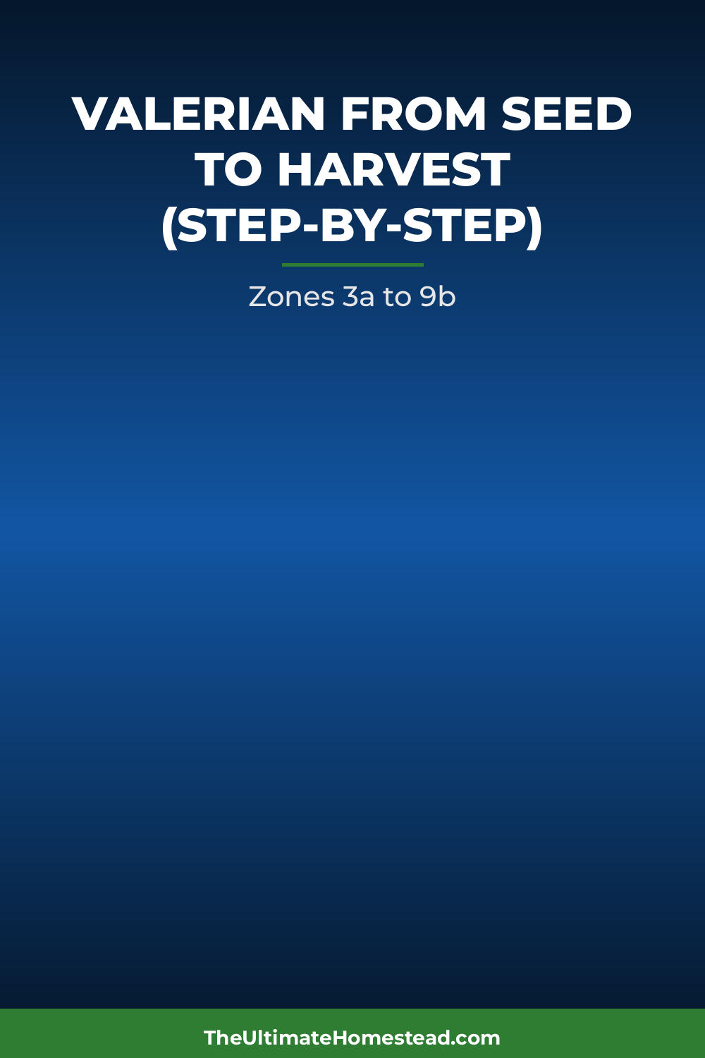 Valerian Planting Guide