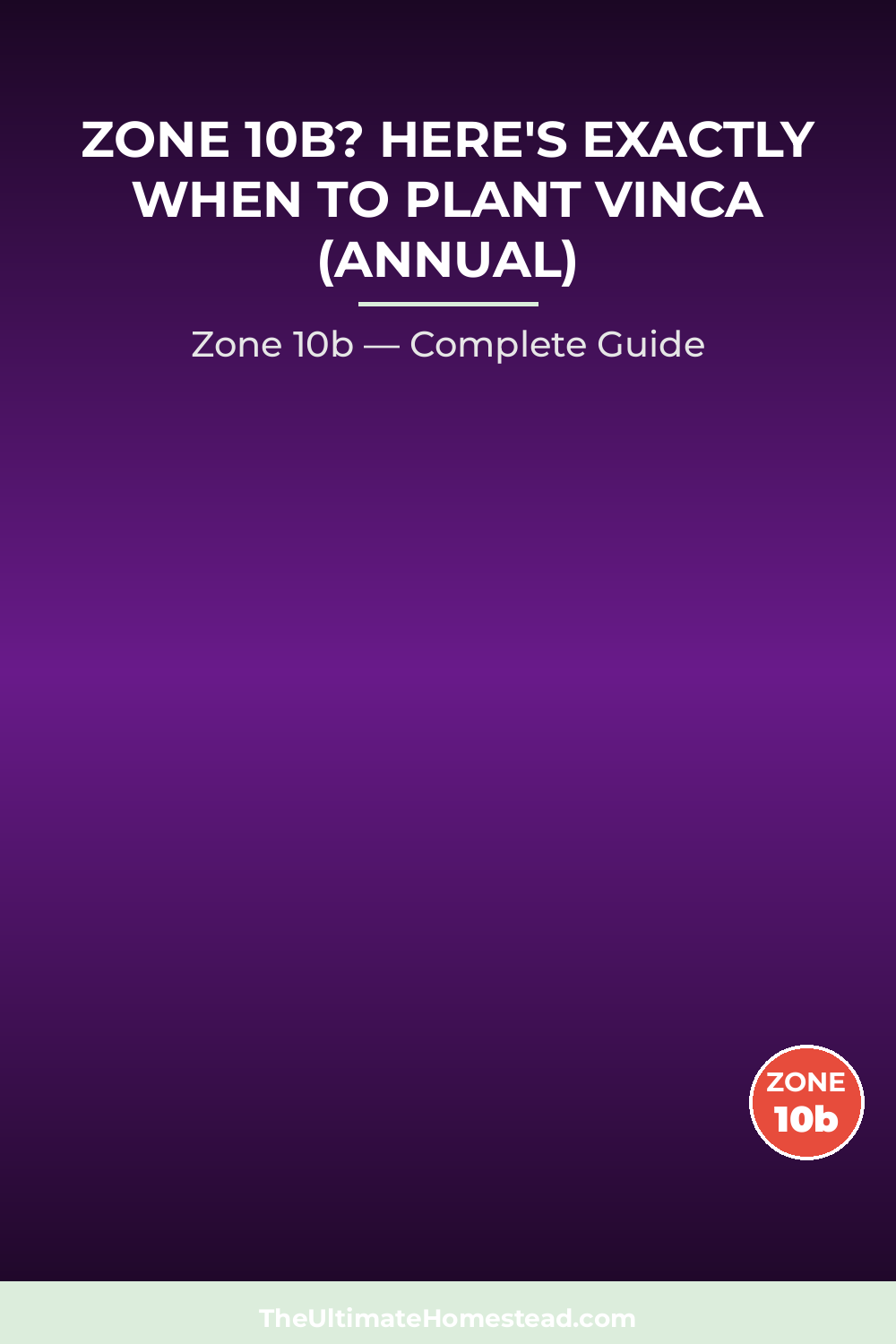 When to Plant Vinca (Annual) in Zone 10b