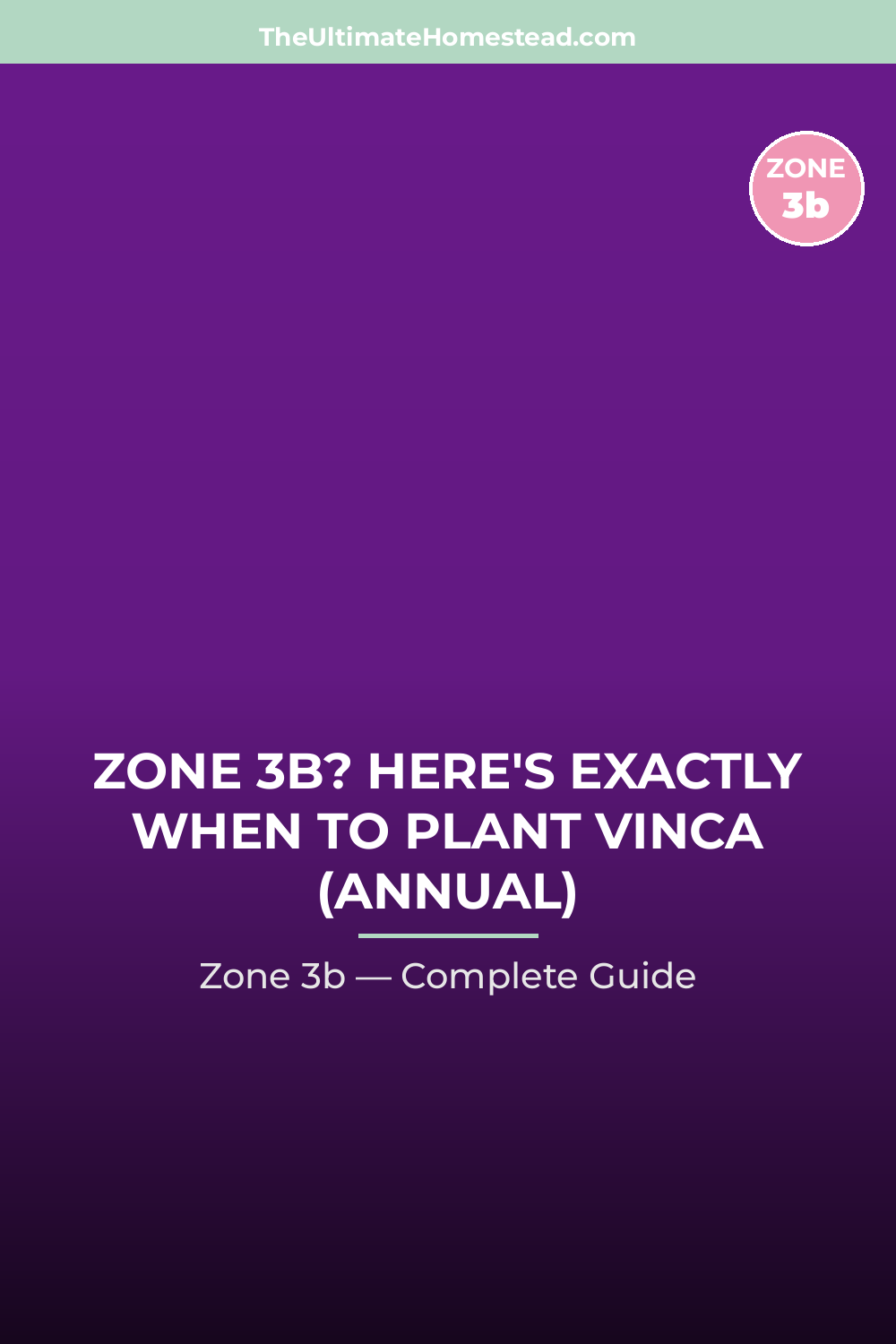 When to Plant Vinca (Annual) in Zone 3b