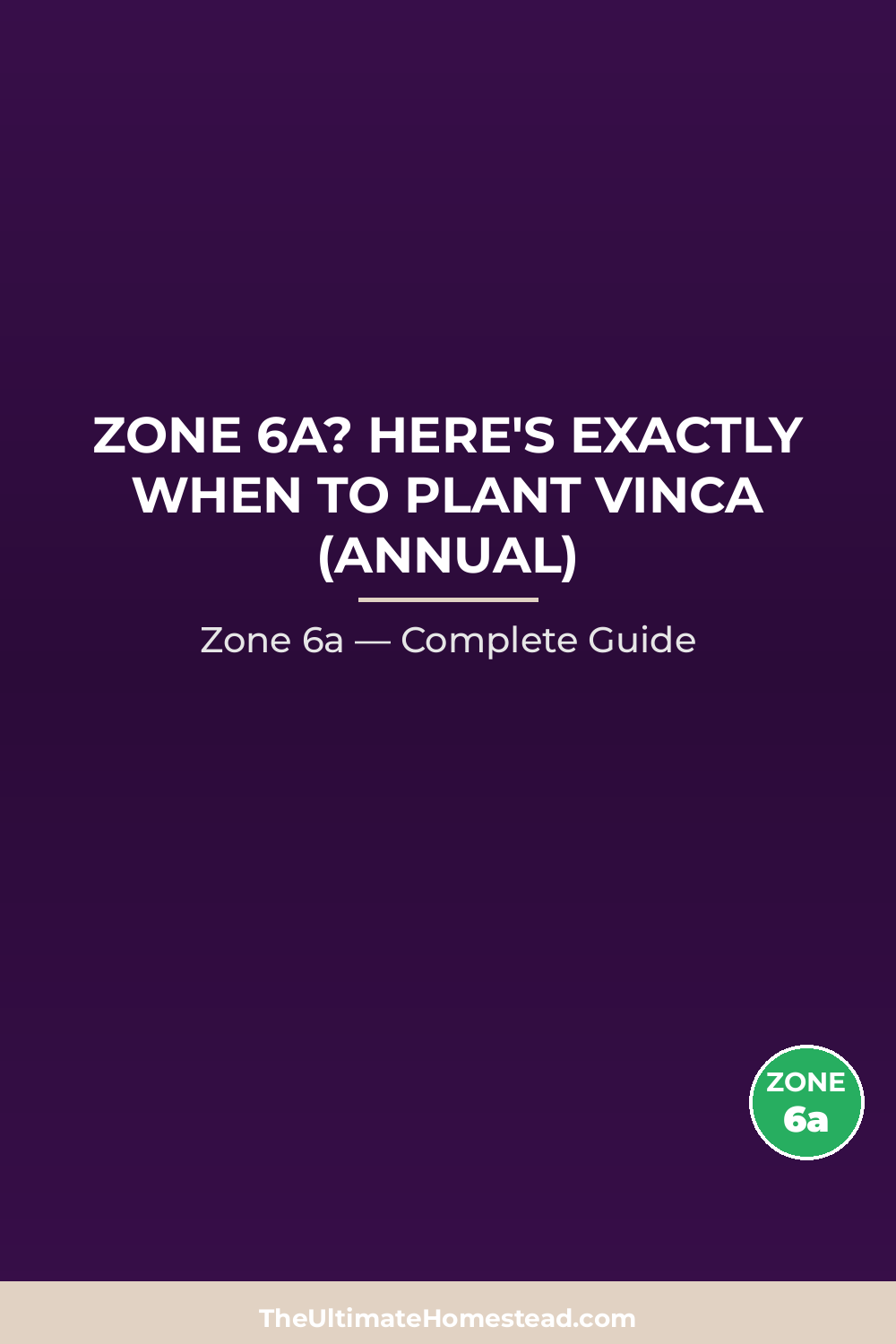 When to Plant Vinca (Annual) in Zone 6a