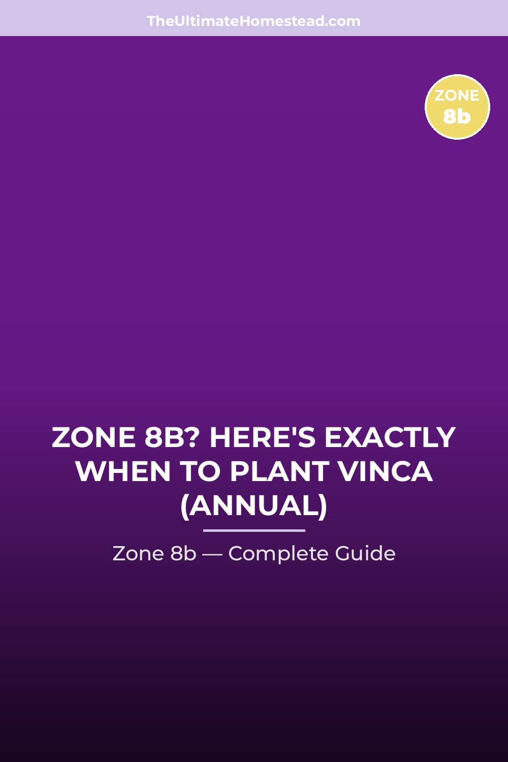 When to Plant Vinca (Annual) in Zone 8b