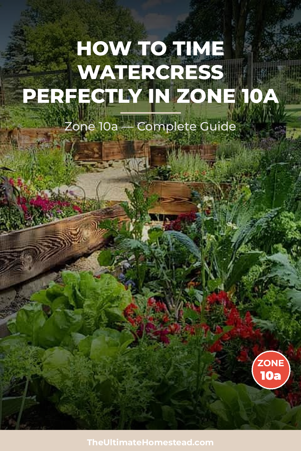 When to Plant Watercress in Zone 10a