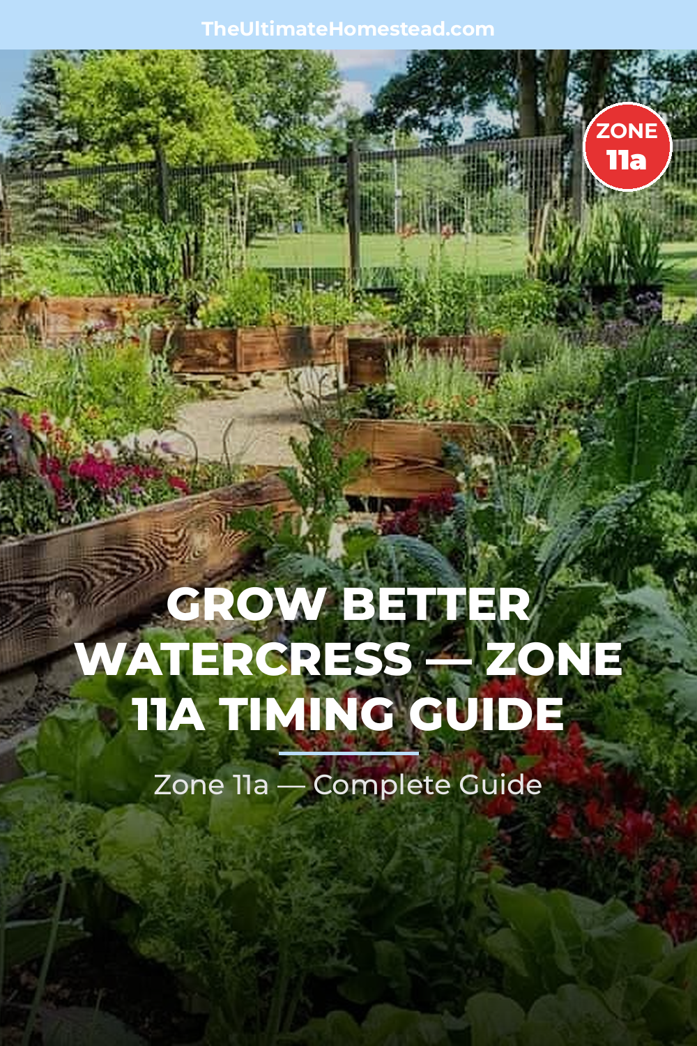 When to Plant Watercress in Zone 11a