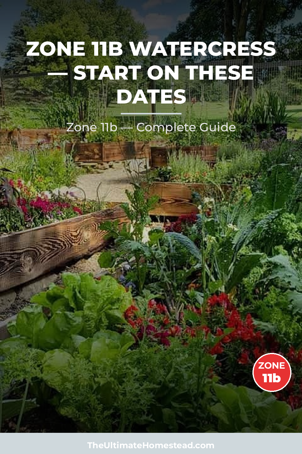 When to Plant Watercress in Zone 11b