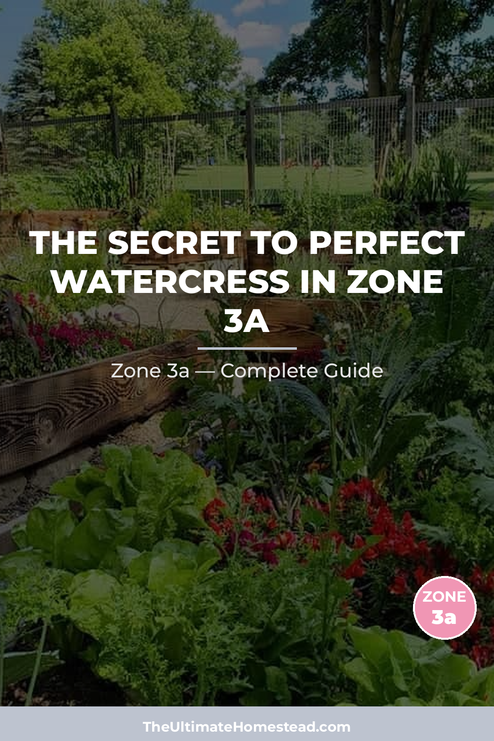 When to Plant Watercress in Zone 3a