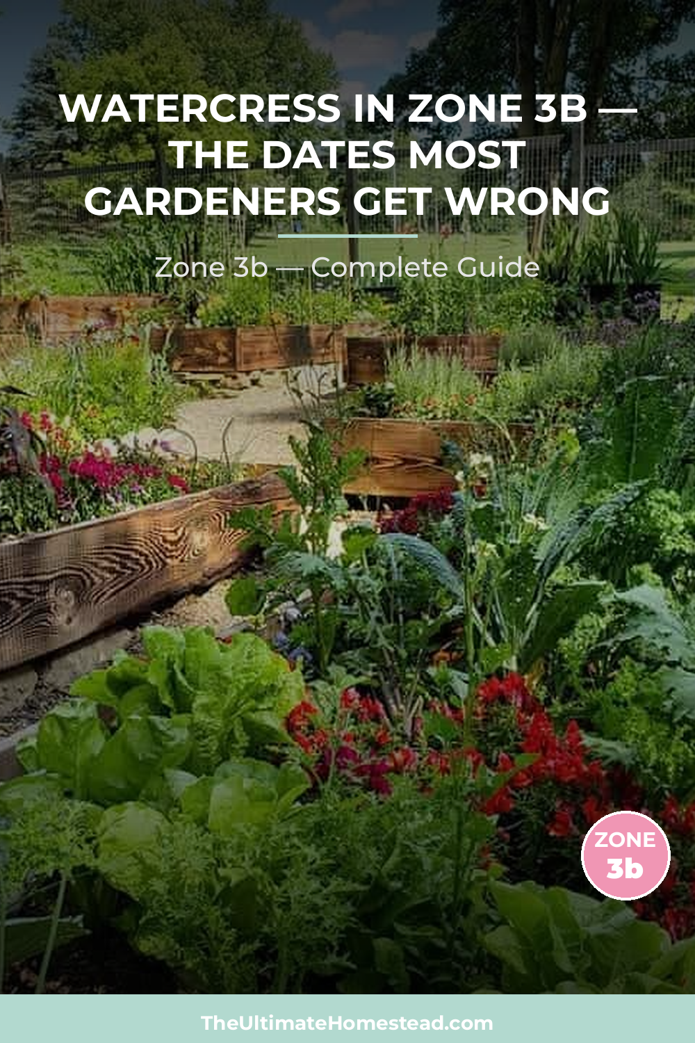 When to Plant Watercress in Zone 3b