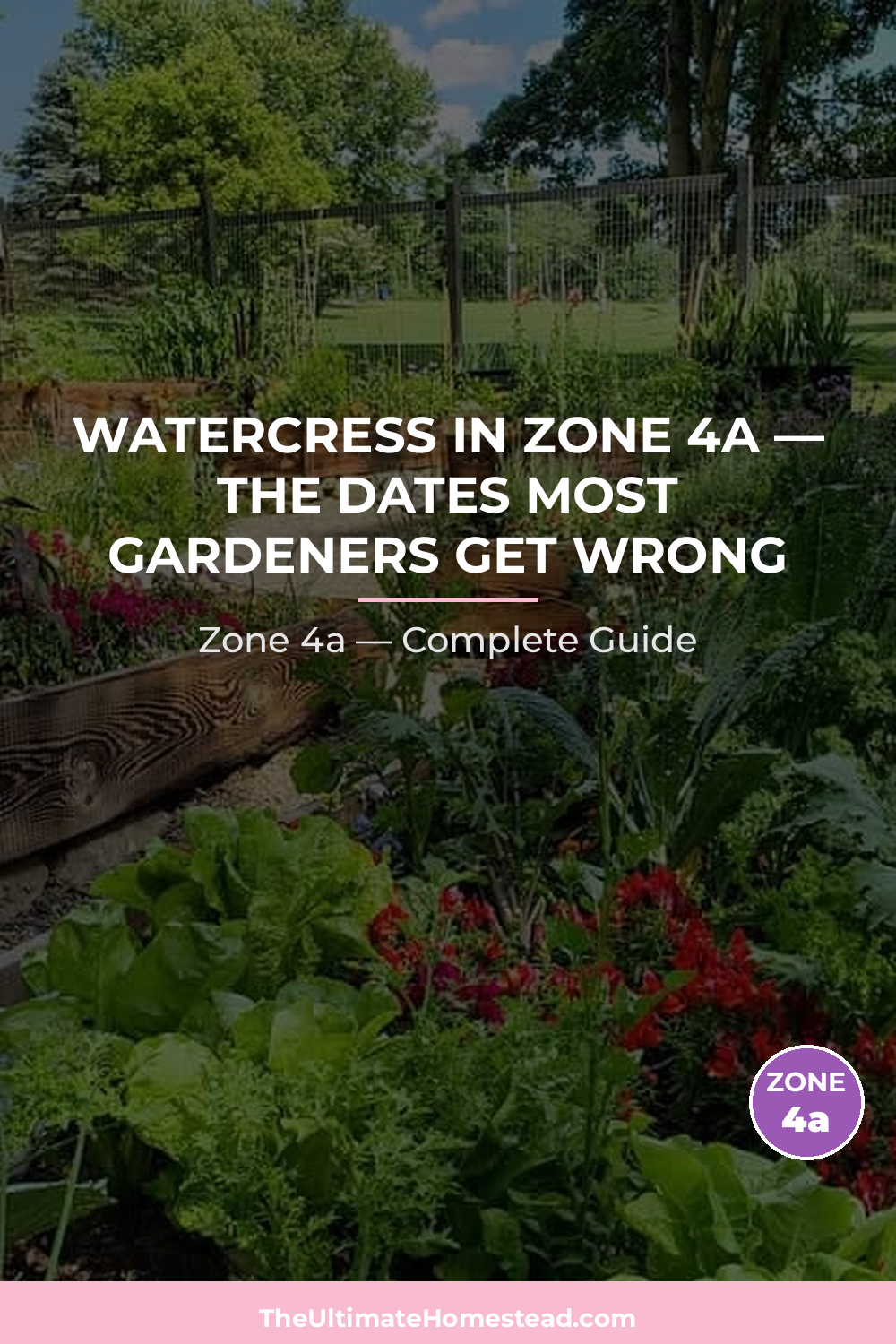 When to Plant Watercress in Zone 4a