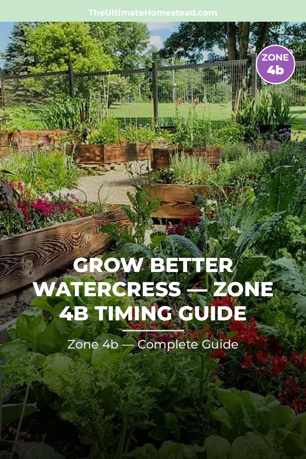 When to Plant Watercress in Zone 4b