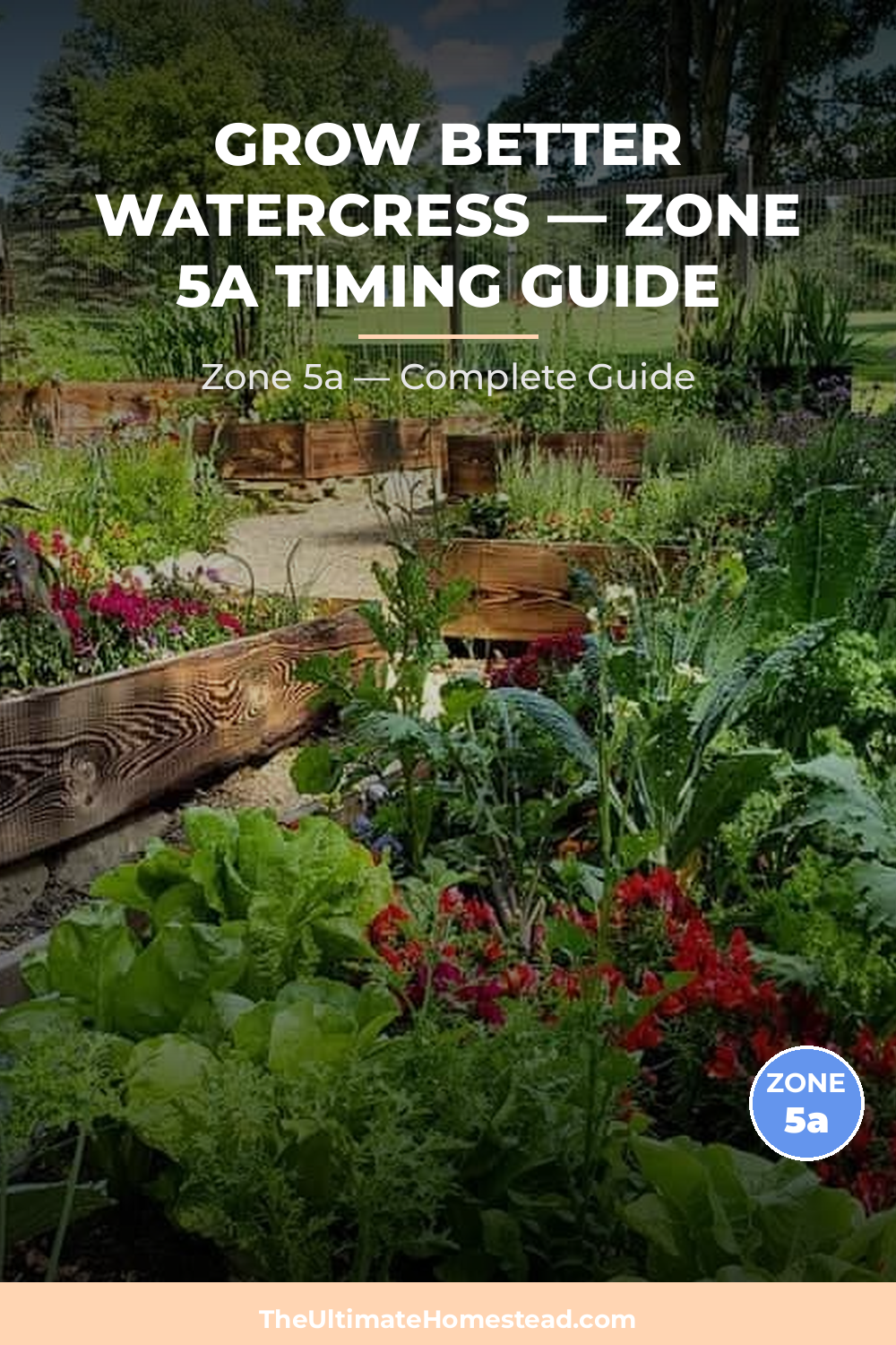 When to Plant Watercress in Zone 5a