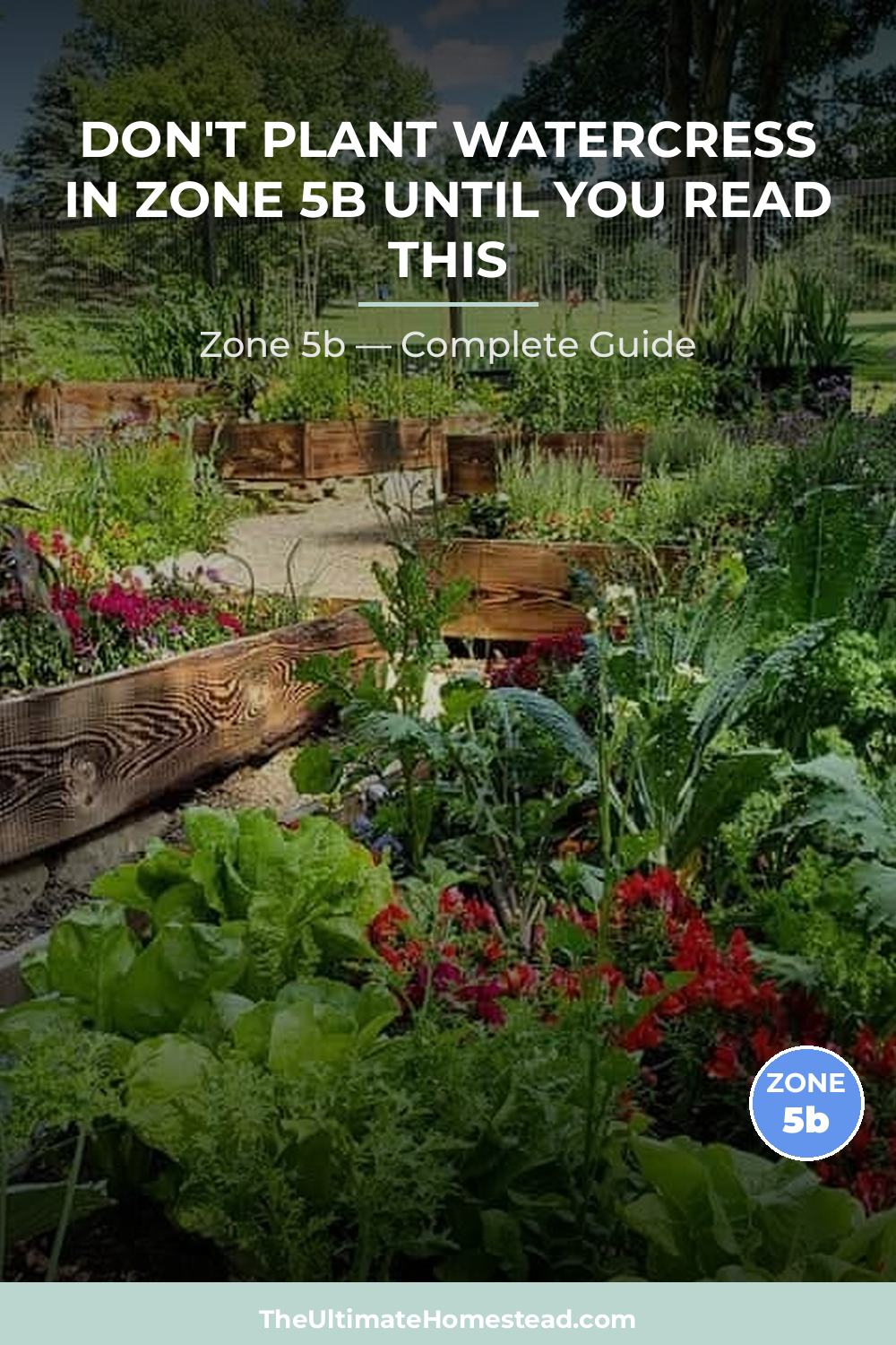 When to Plant Watercress in Zone 5b