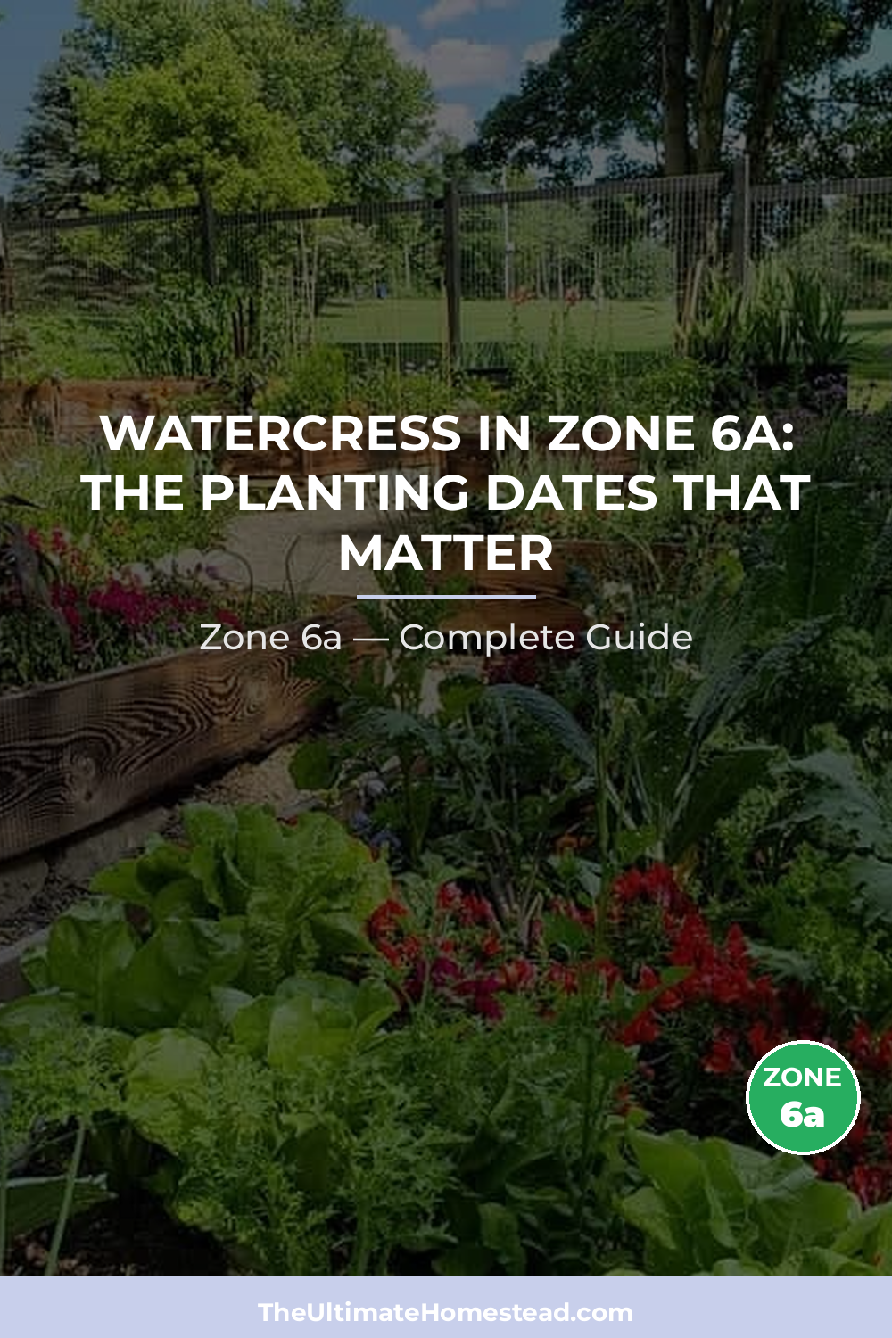 When to Plant Watercress in Zone 6a