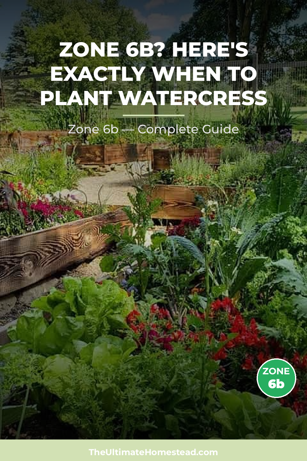 When to Plant Watercress in Zone 6b