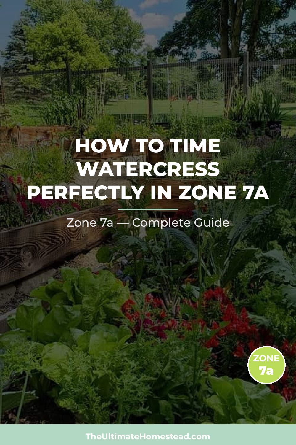 When to Plant Watercress in Zone 7a