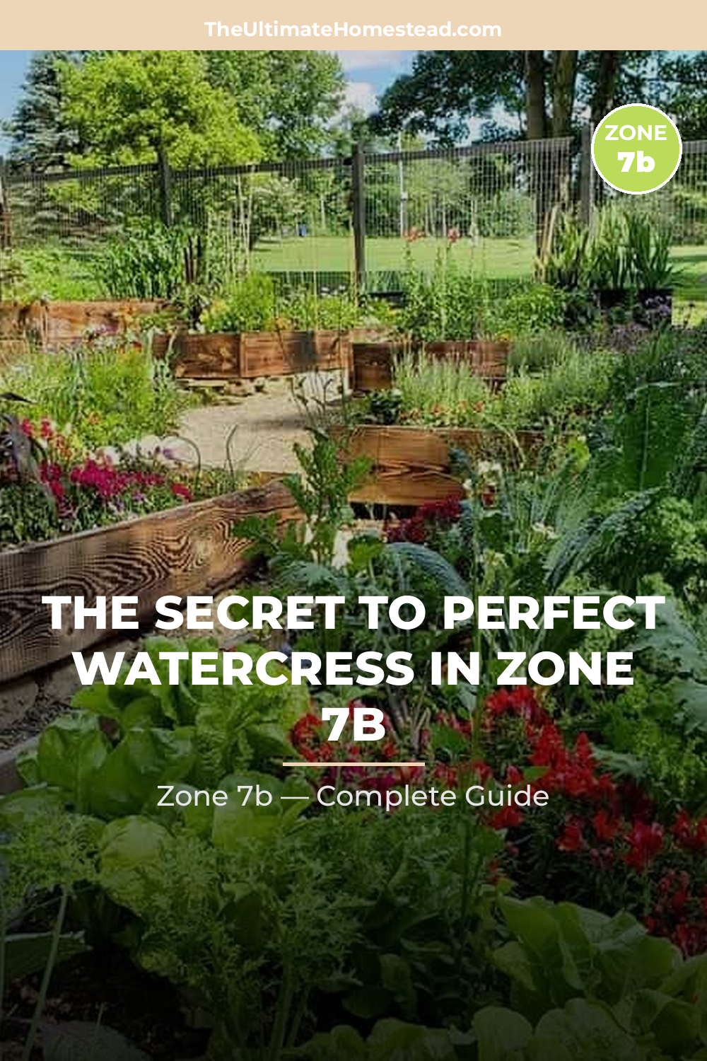When to Plant Watercress in Zone 7b