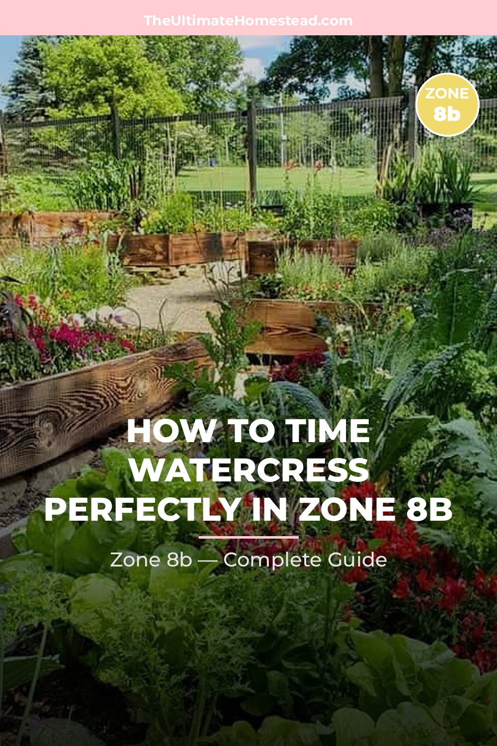When to Plant Watercress in Zone 8b