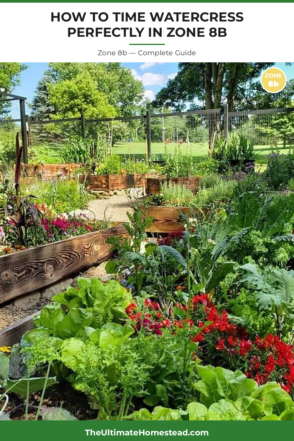 When to Plant Watercress in Zone 8b