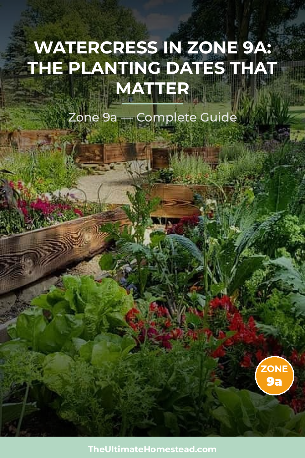 When to Plant Watercress in Zone 9a