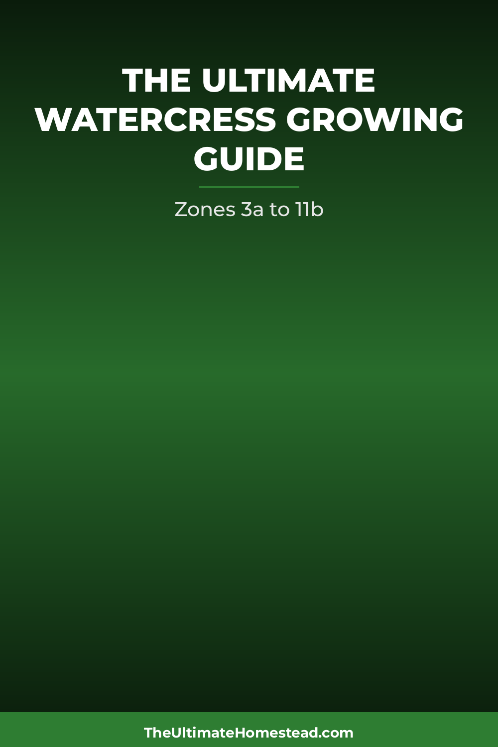 Watercress Planting Guide