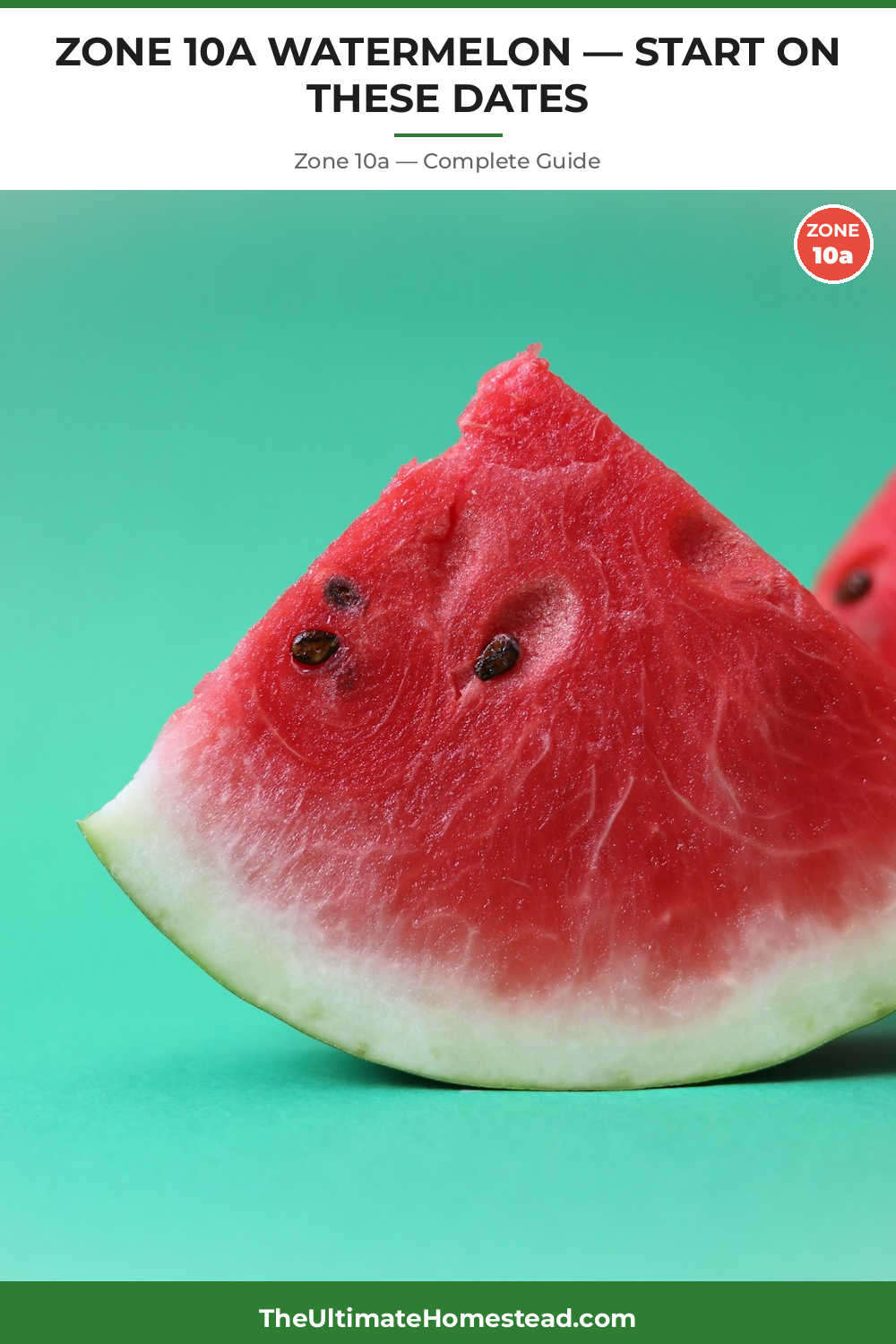 When to Plant Watermelon in Zone 10a