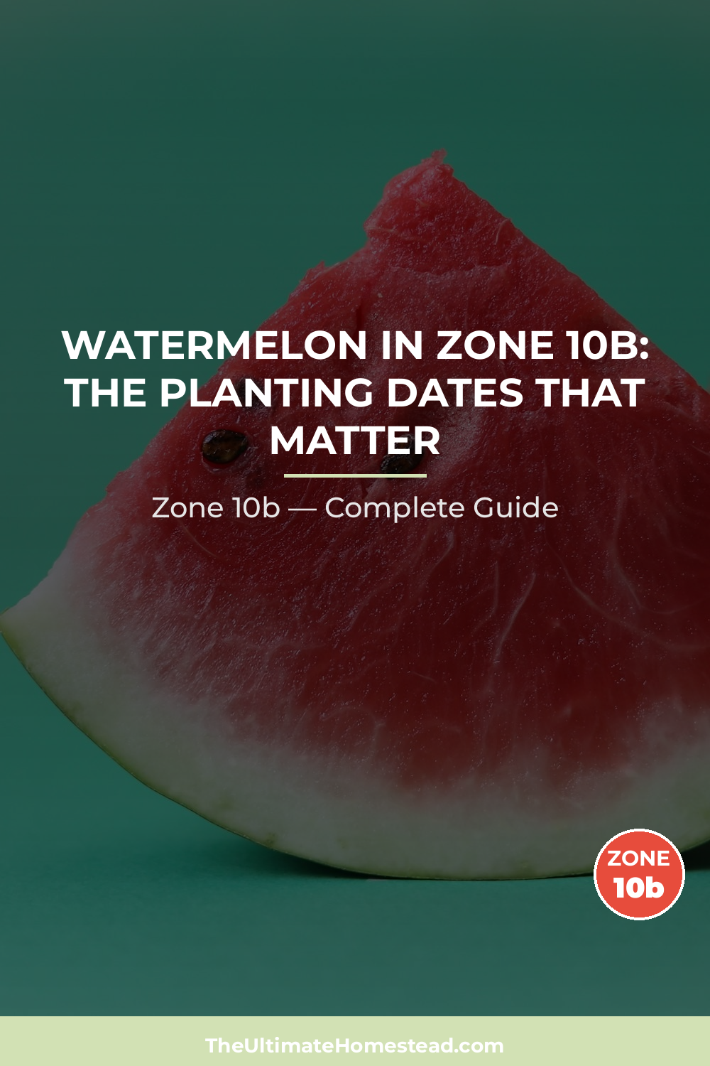When to Plant Watermelon in Zone 10b