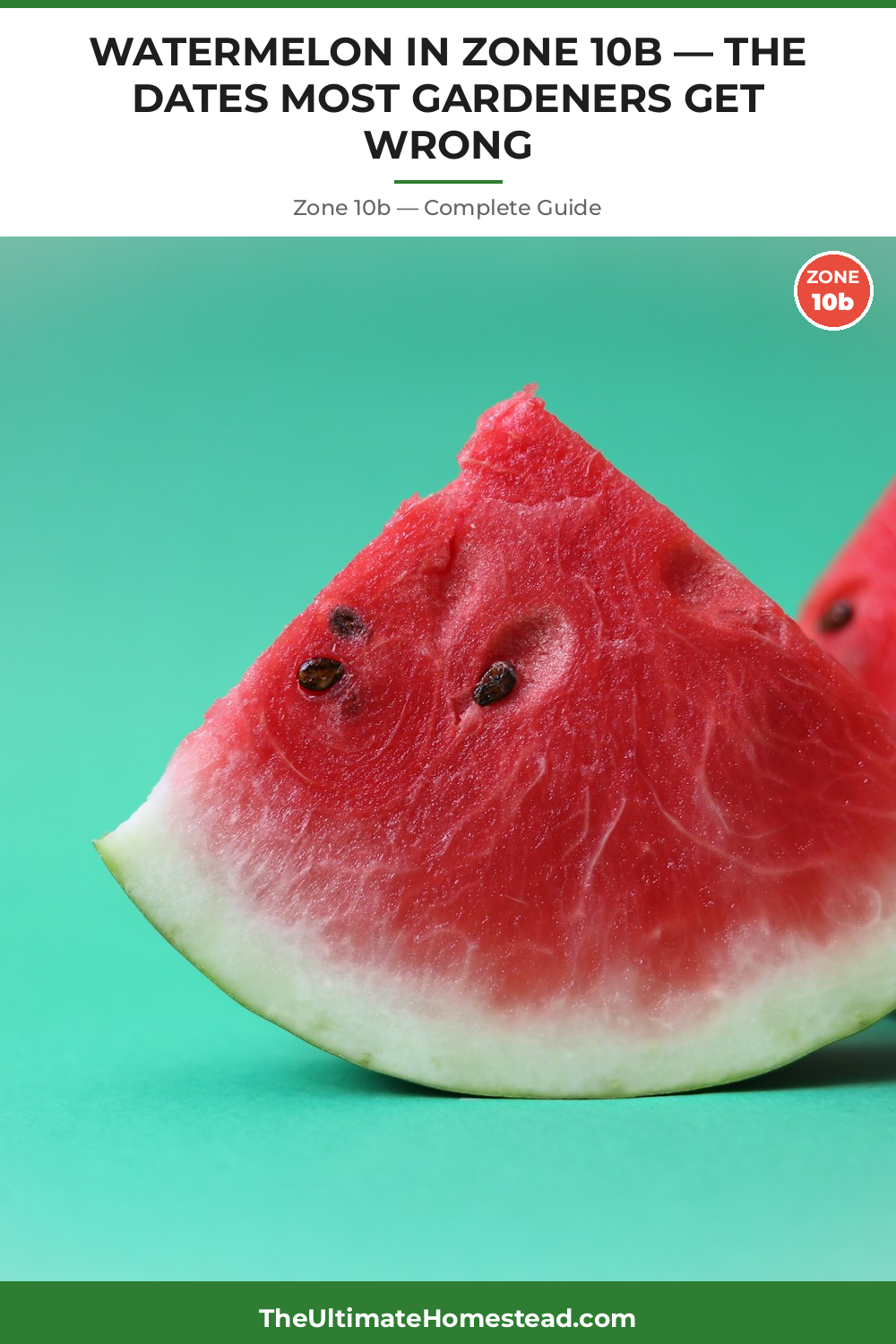 When to Plant Watermelon in Zone 10b
