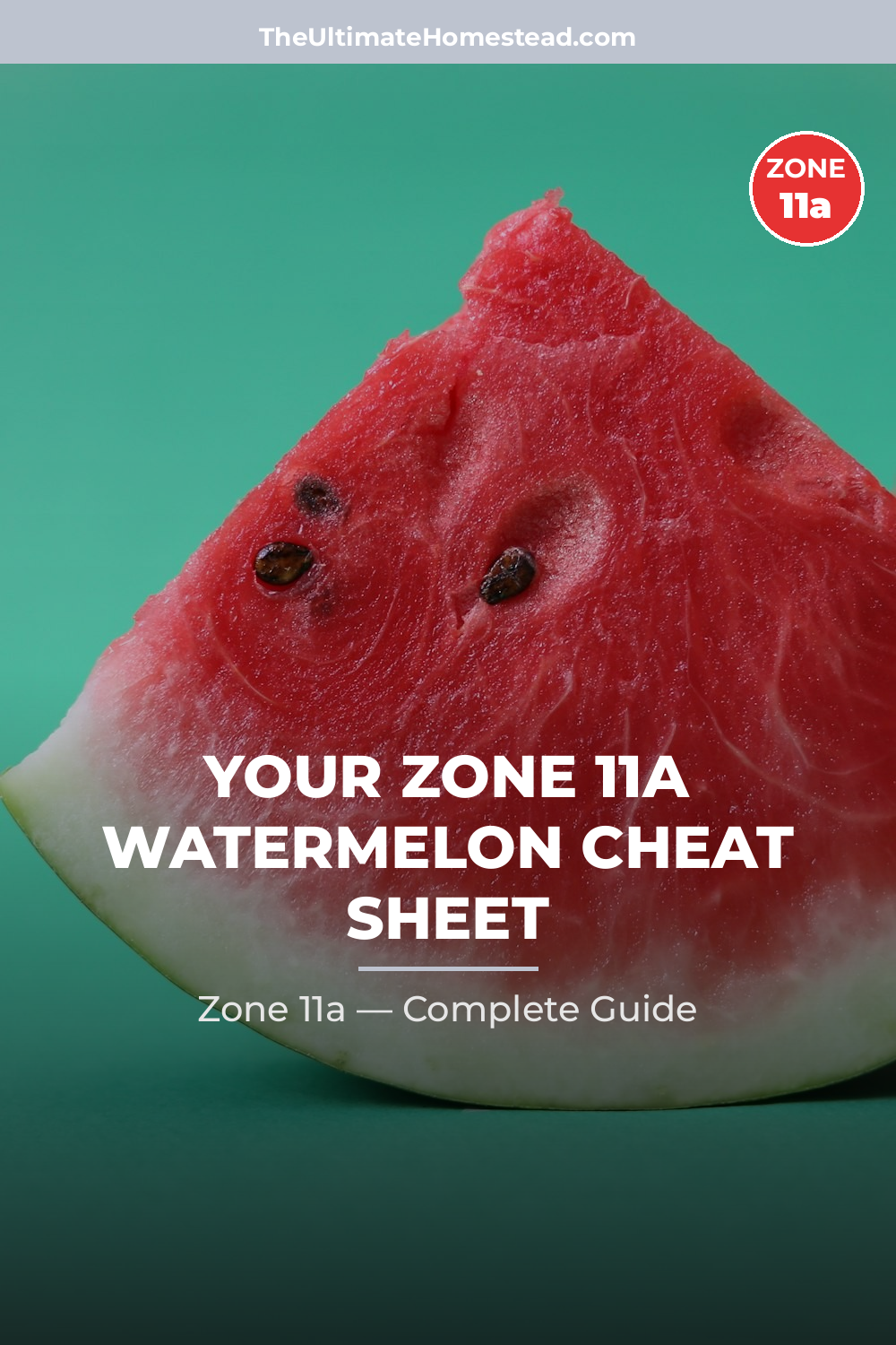 When to Plant Watermelon in Zone 11a