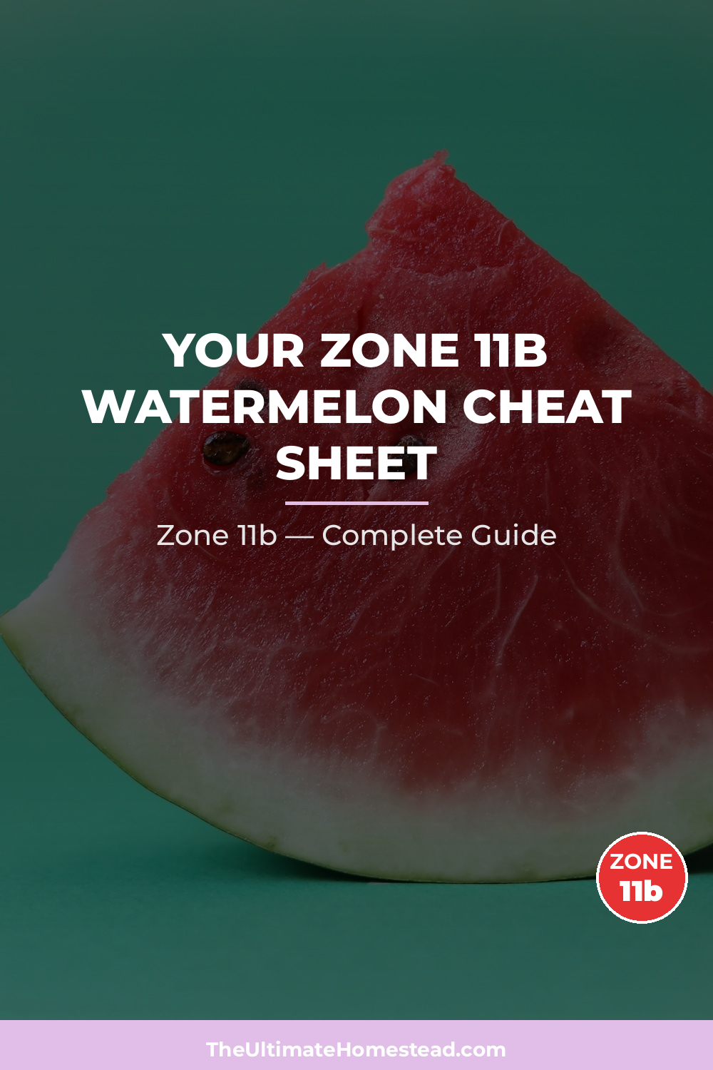 When to Plant Watermelon in Zone 11b