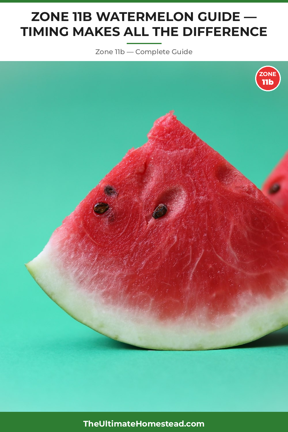 When to Plant Watermelon in Zone 11b