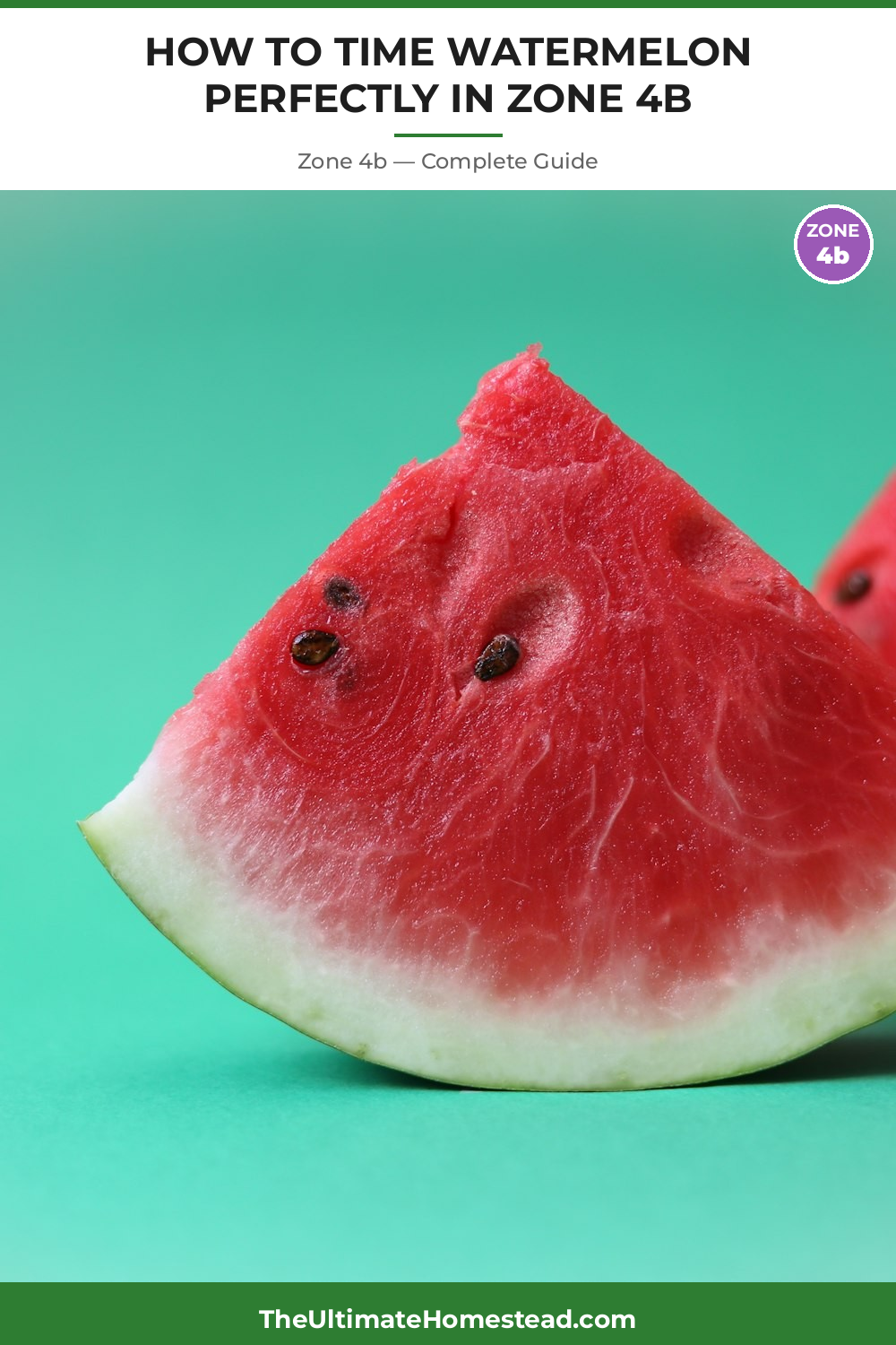 When to Plant Watermelon in Zone 4b