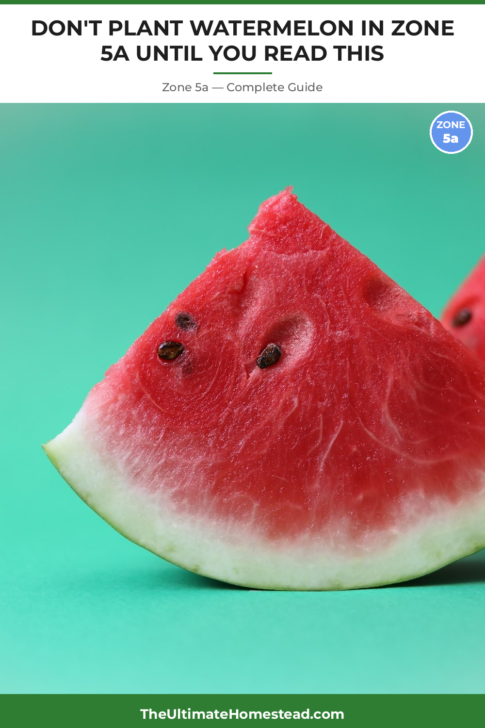 When to Plant Watermelon in Zone 5a