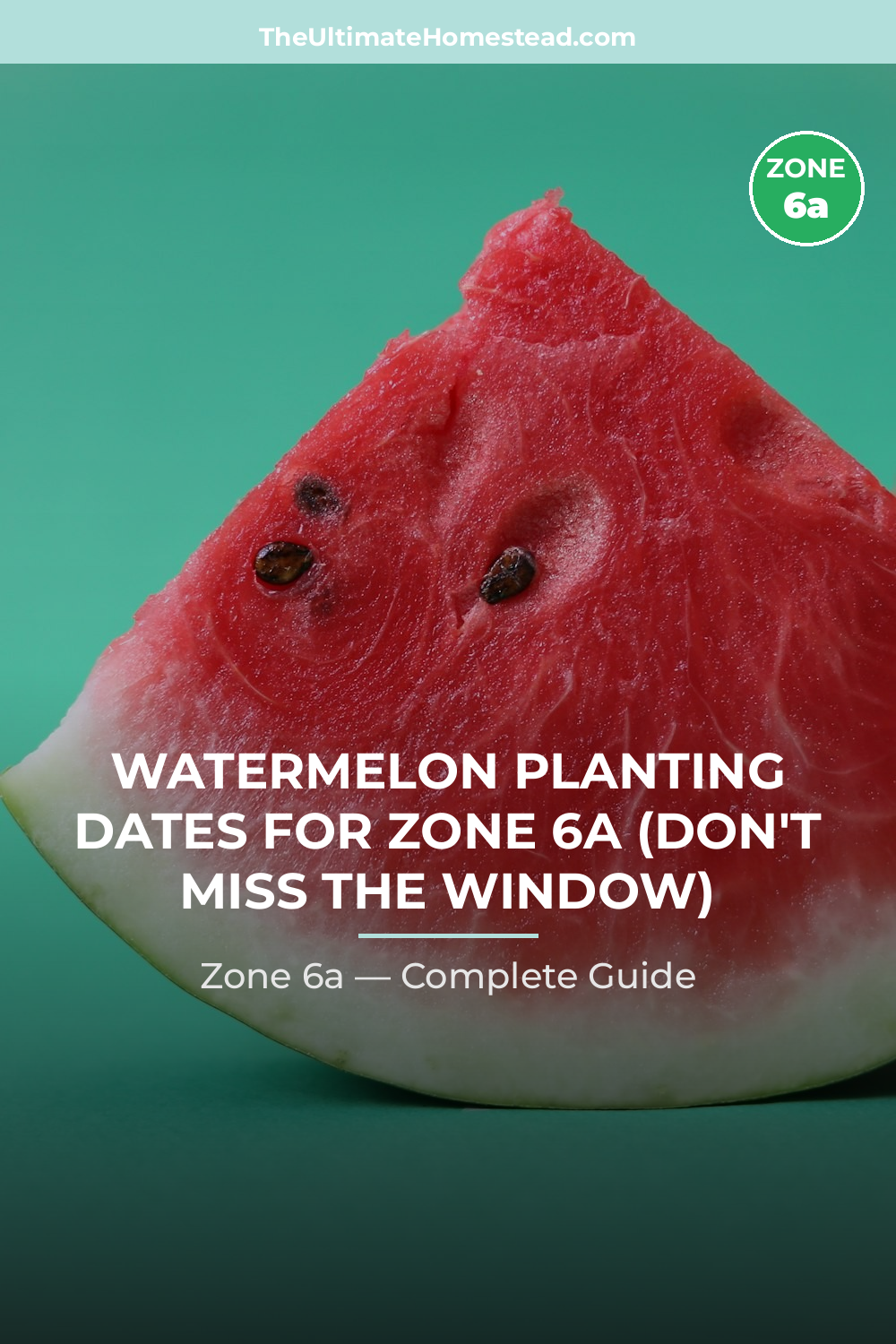 When to Plant Watermelon in Zone 6a