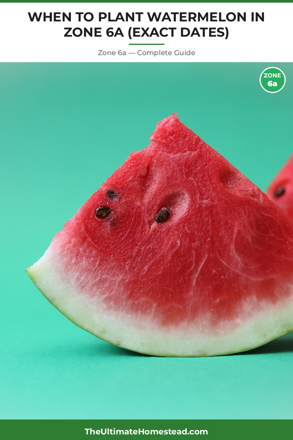 When to Plant Watermelon in Zone 6a