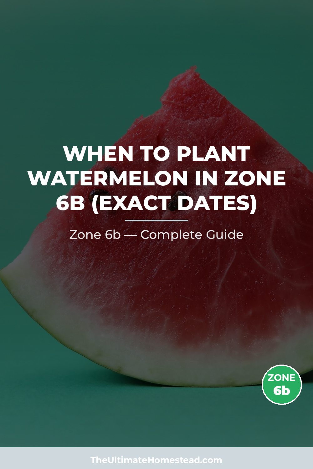 When to Plant Watermelon in Zone 6b